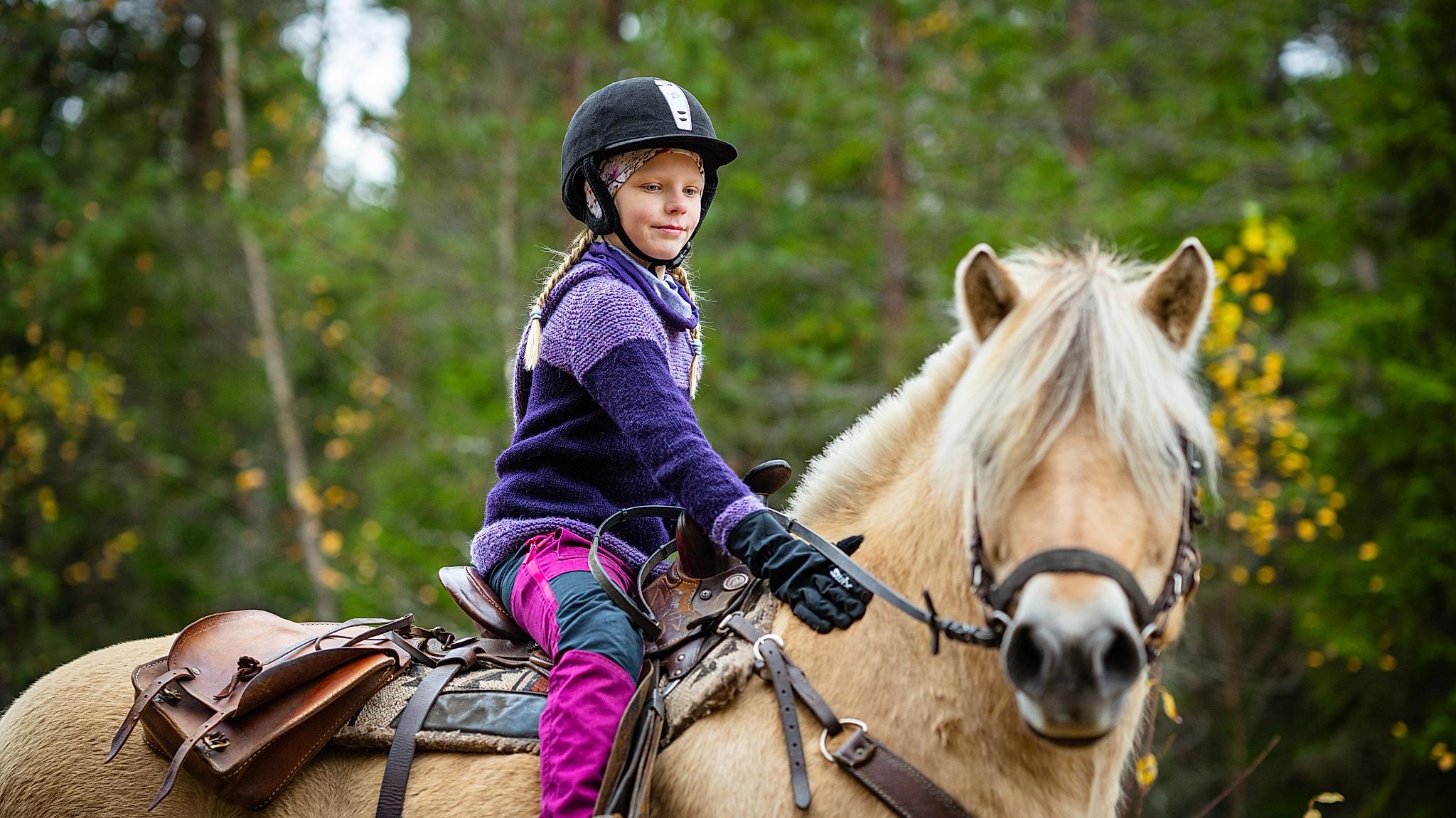A girl riding a Norwegian fjord horse.