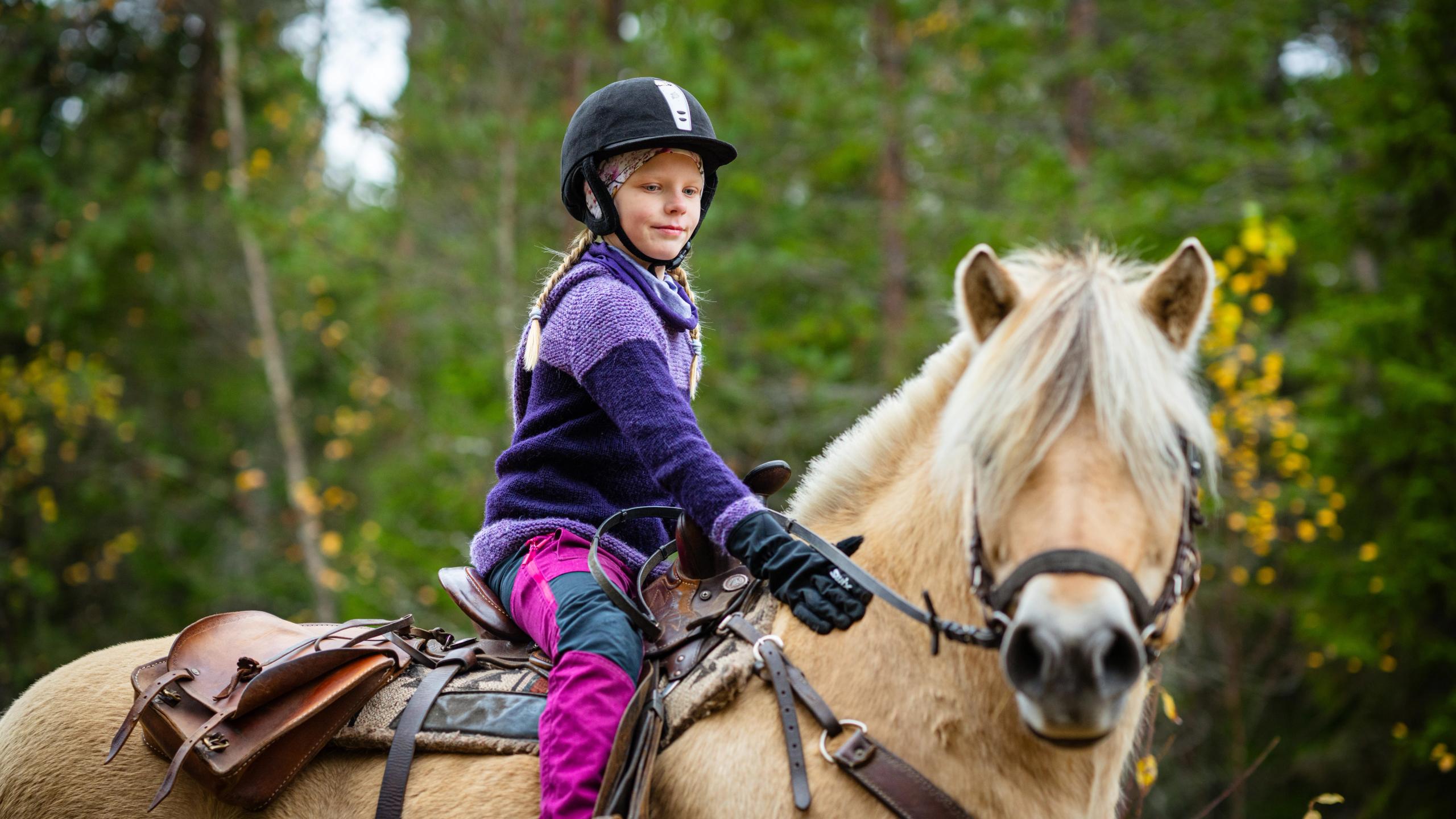 A girl riding a Norwegian fjord horse.