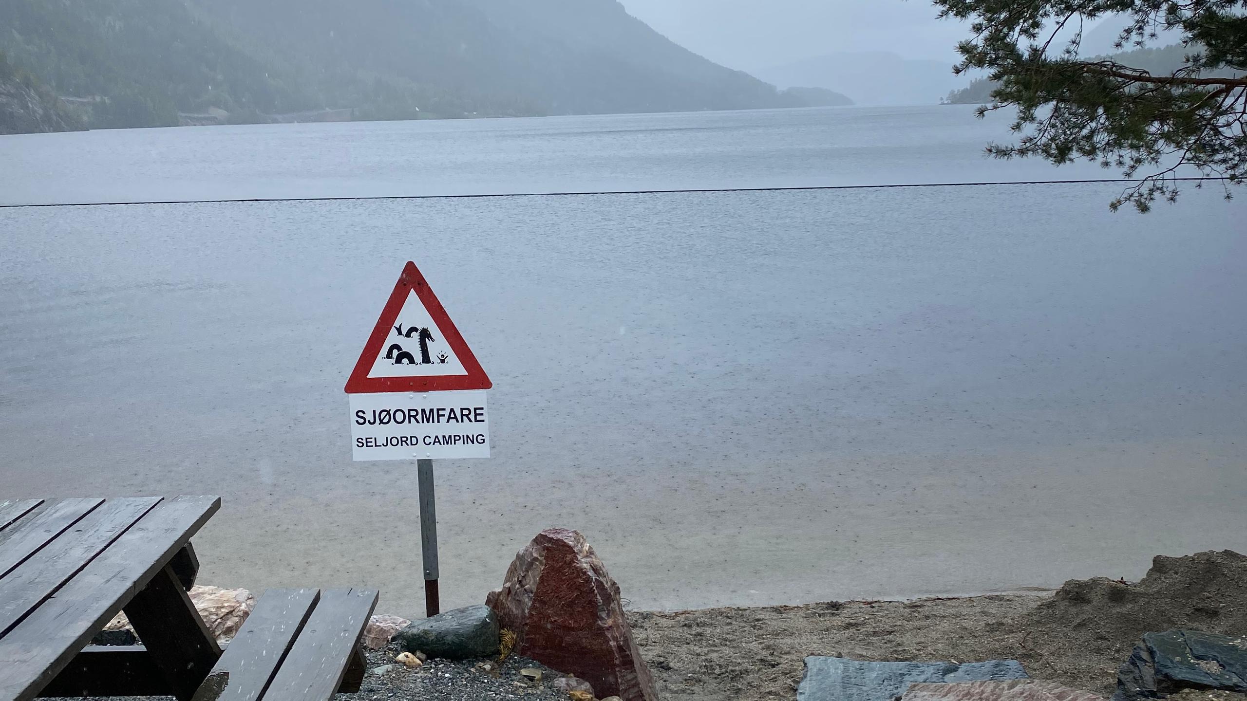 Seljordsormen in Seljord