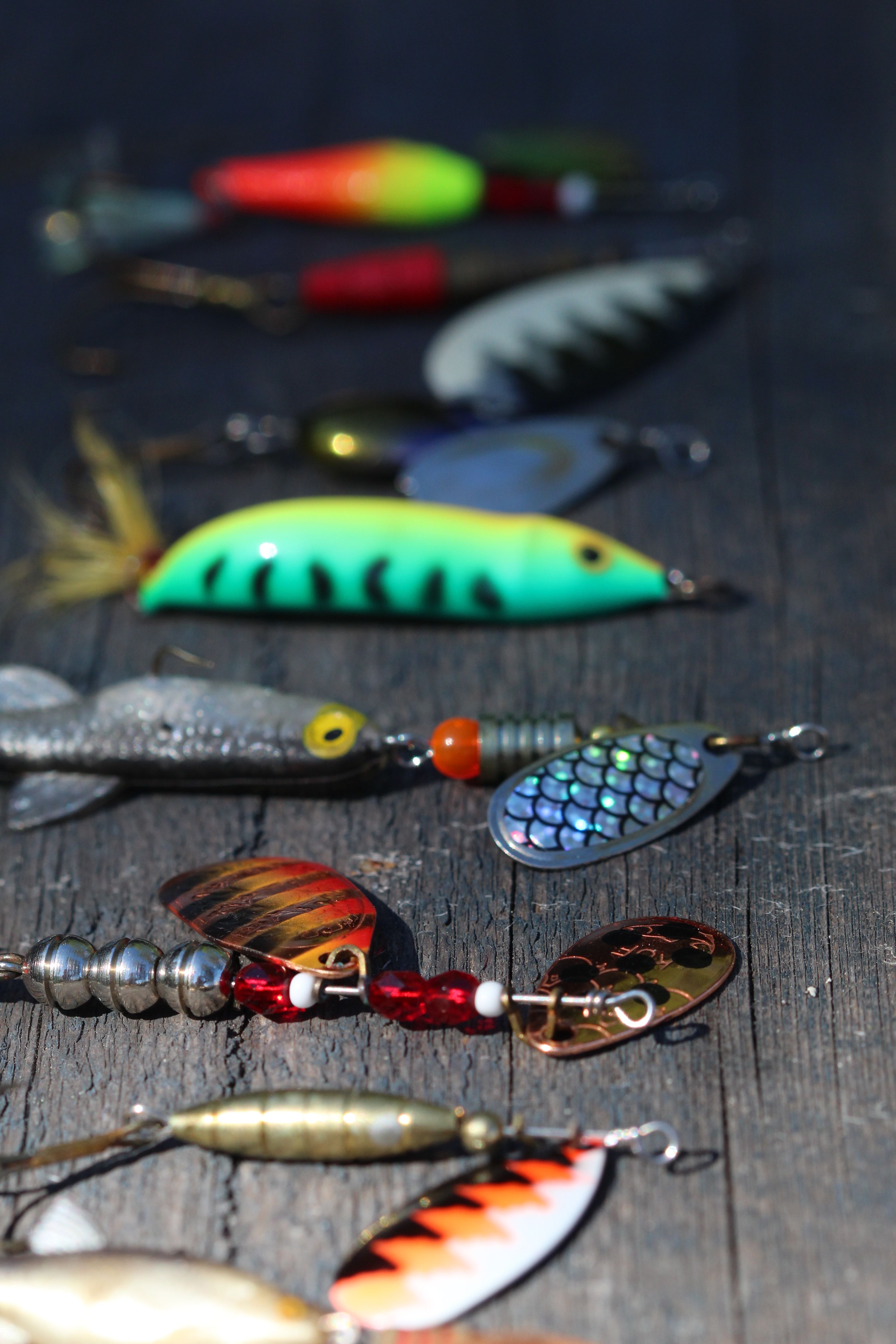 fishing_bait