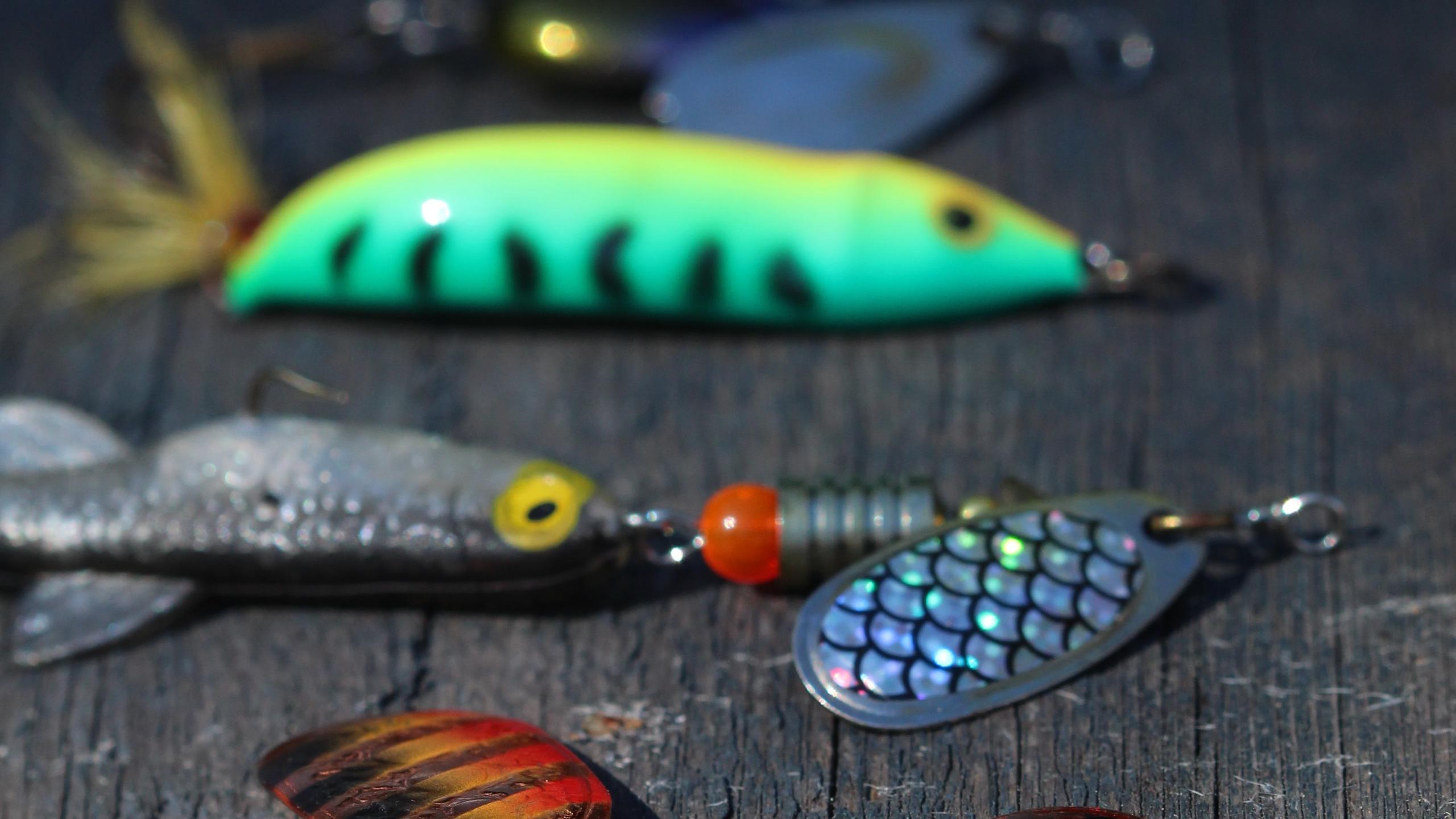 fishing_bait