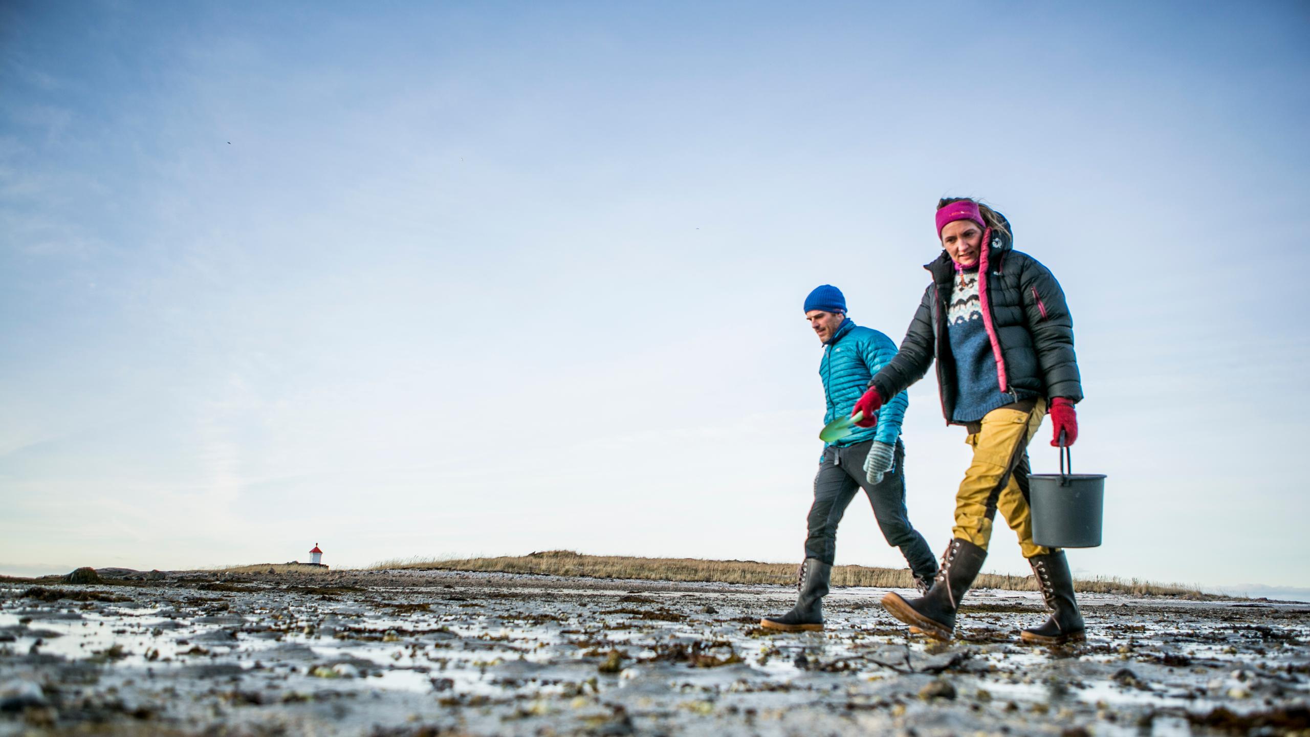 A couple picking cockles on the beach