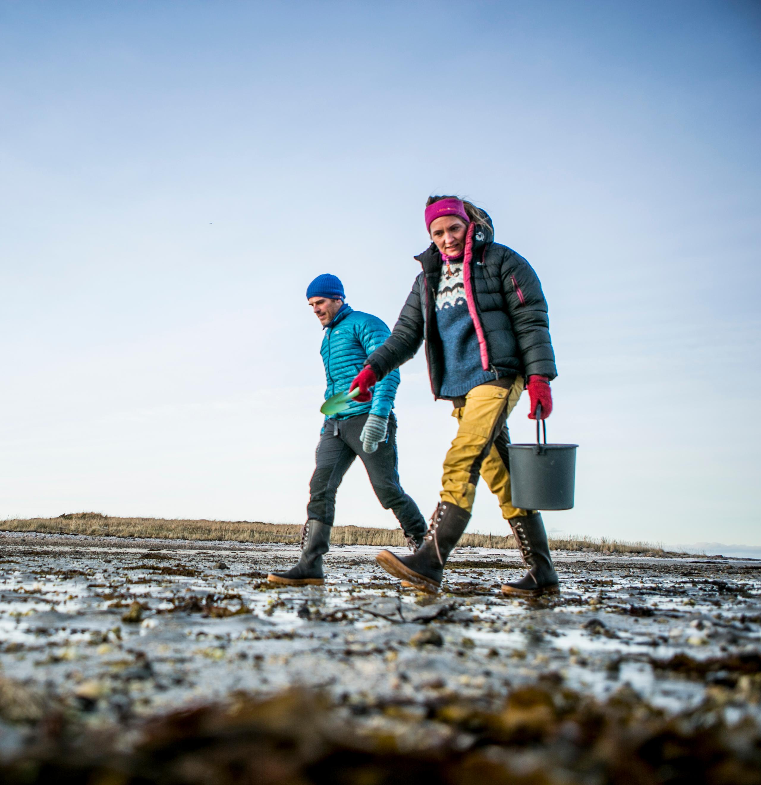 A couple picking cockles on the beach