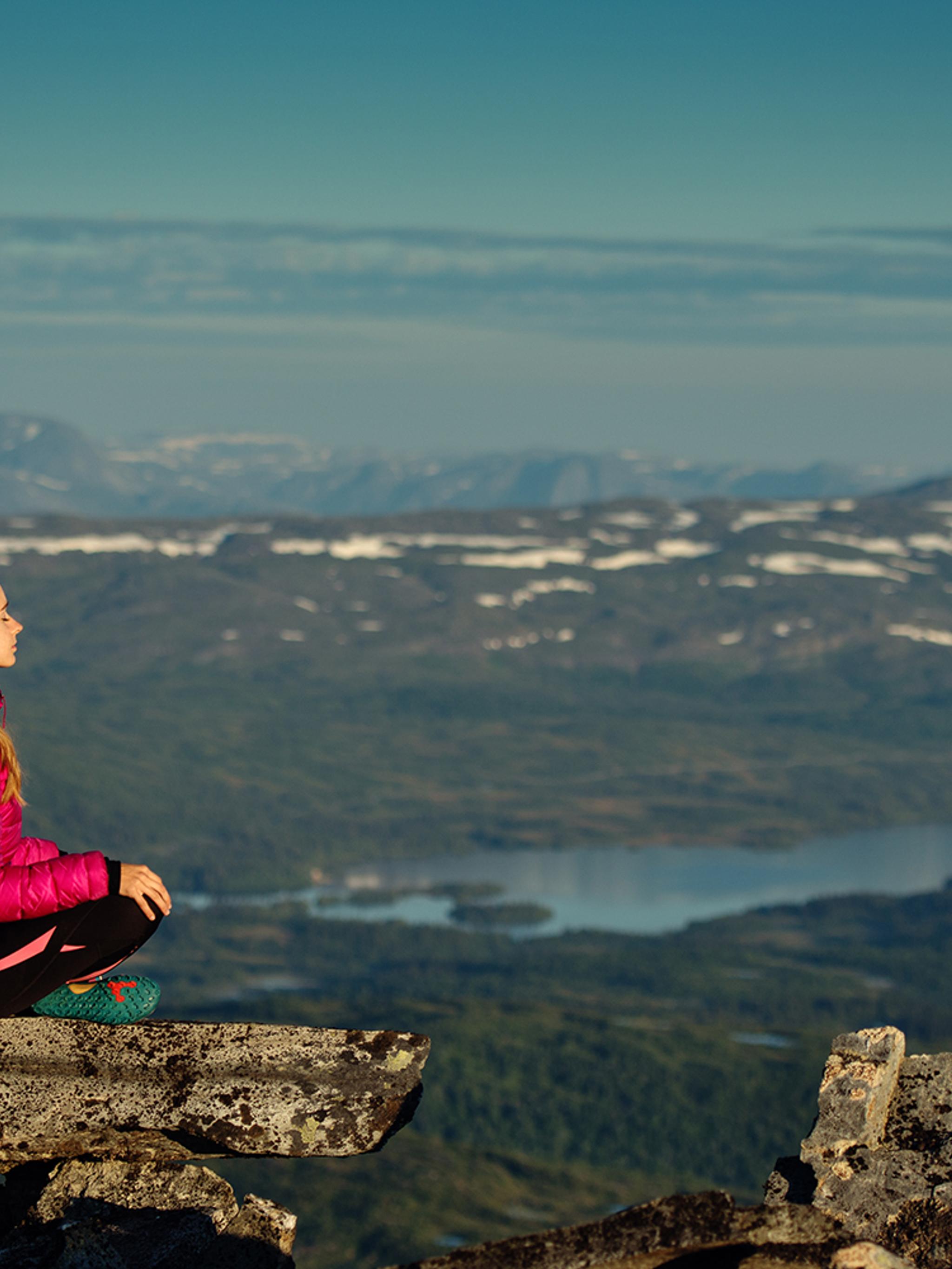 View from mount Dærga in Børgefjell national park, Namdalen, Trøndelag
