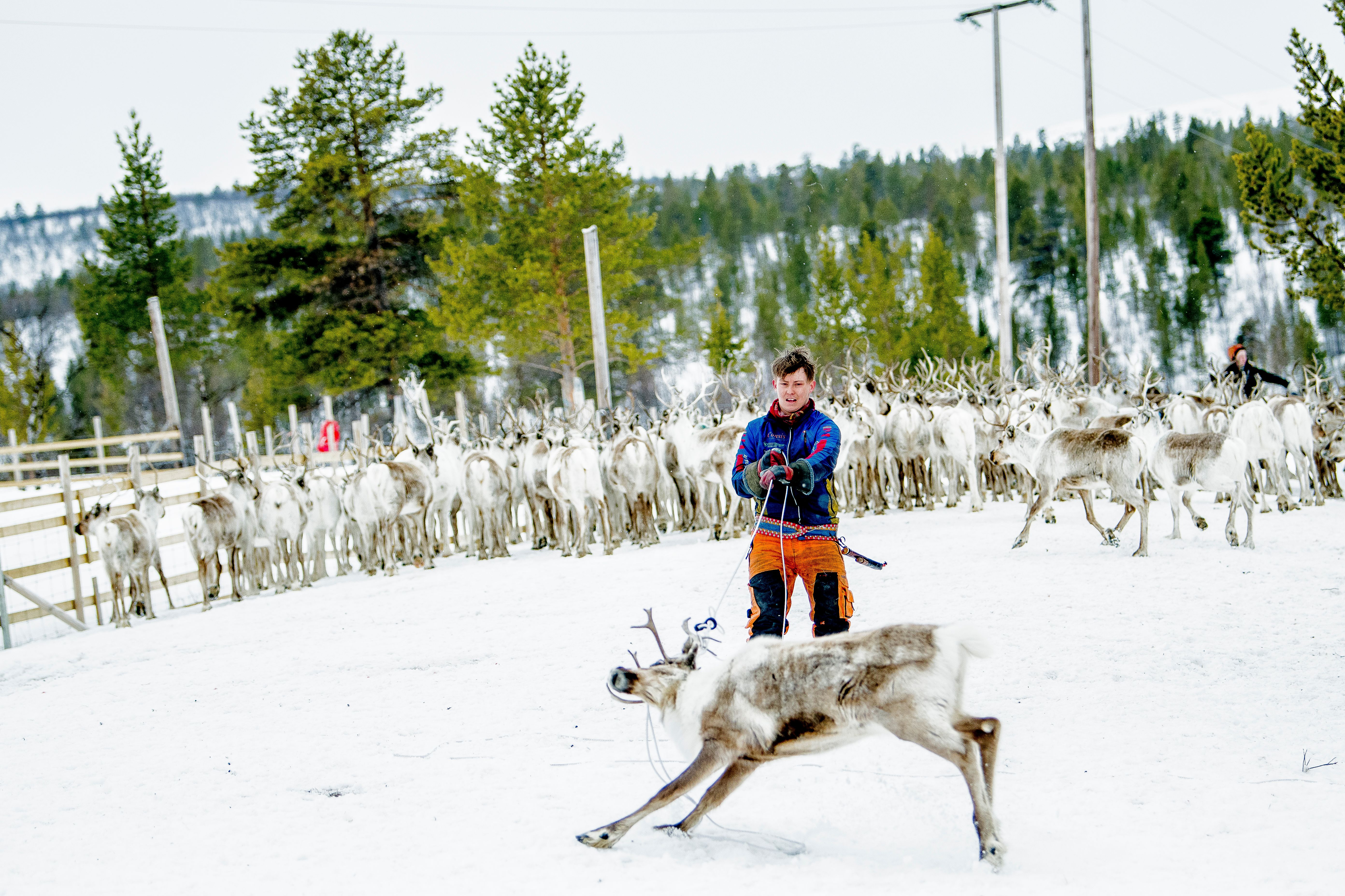 Finnmarksvidda