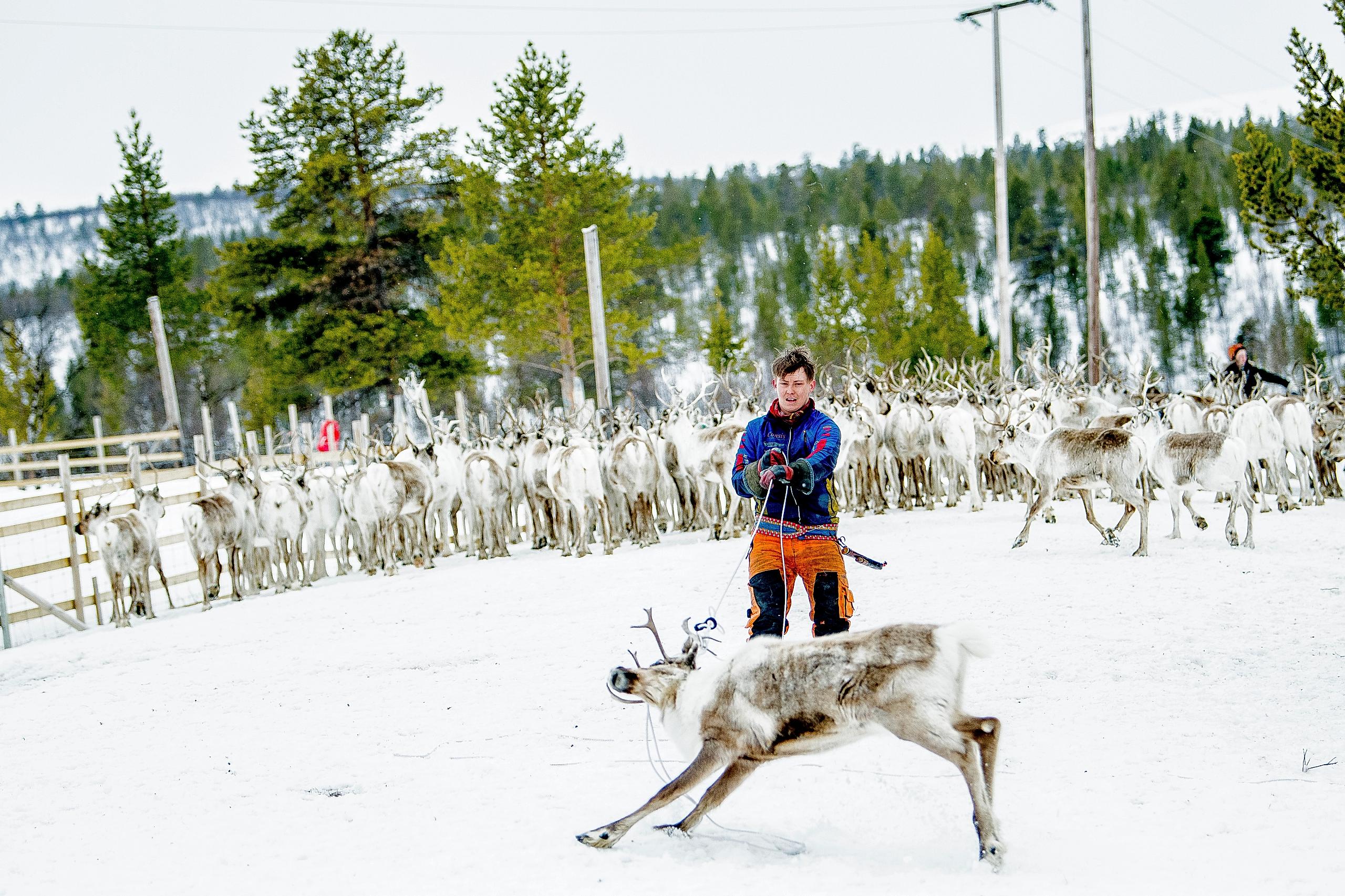 Finnmarksvidda