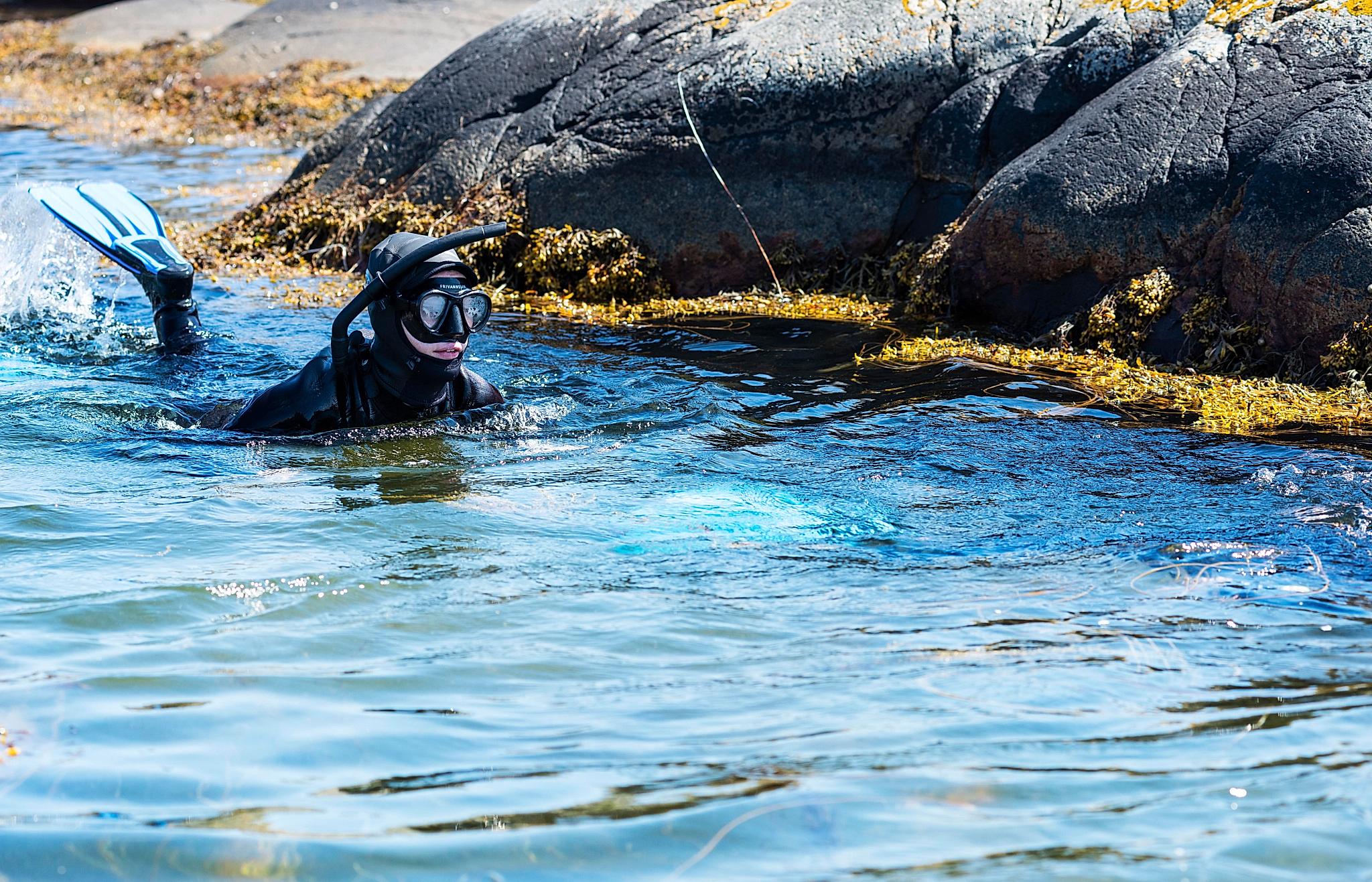 Fridykking i Tvedestrand, Sørlandet