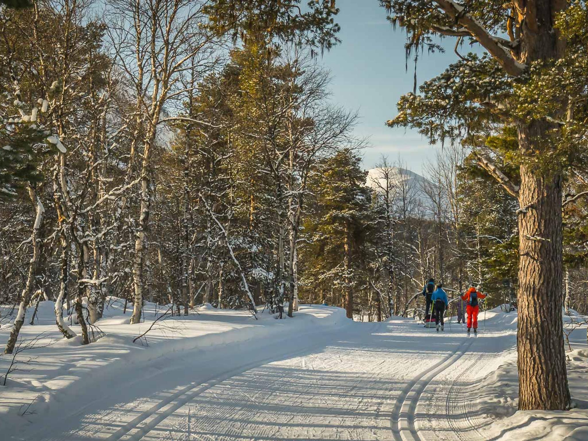 Folk går på langrenn på Bjorli i Lesja på Østlandet