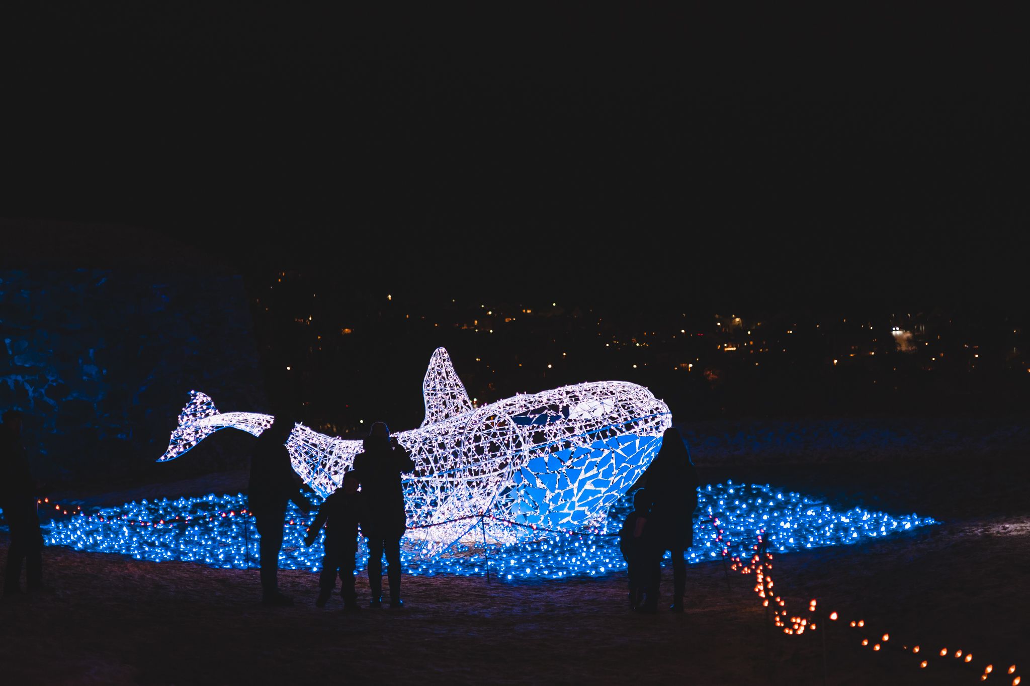 En gruppe mennesker ser på en hval laget av lys på Lumagica lysfestival i Trondheim
