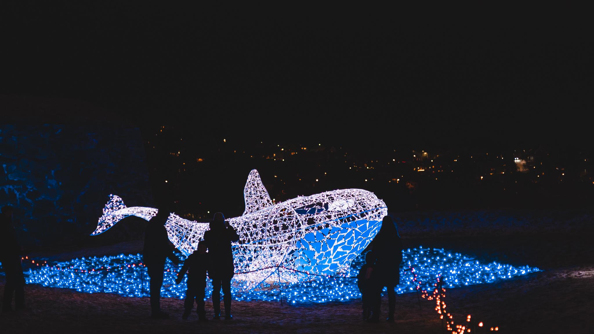 En gruppe mennesker ser på en hval laget av lys på Lumagica lysfestival i Trondheim