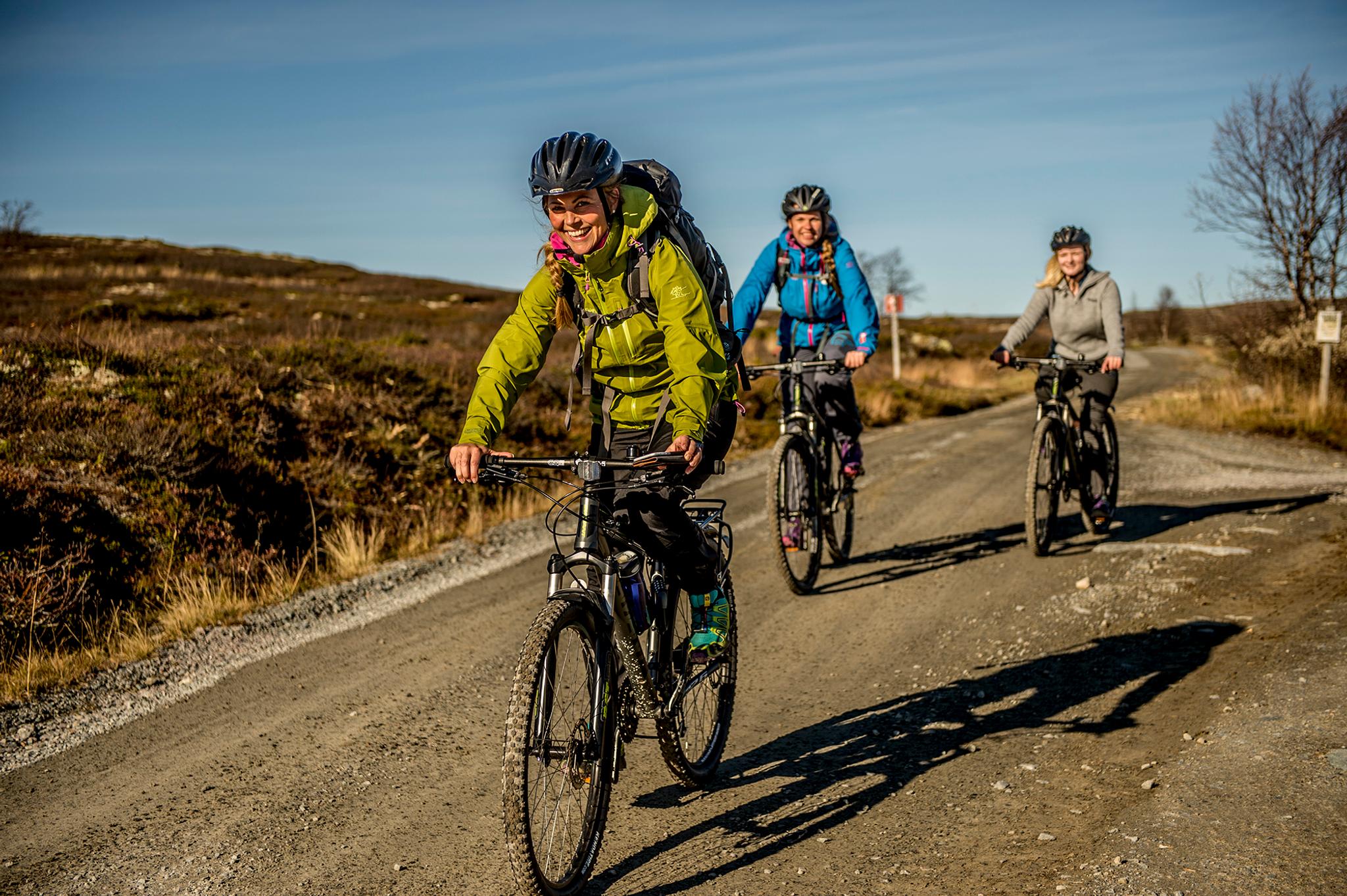 Three people cycling at a dirt road on the Hardangervidda mountain plateau in Norway