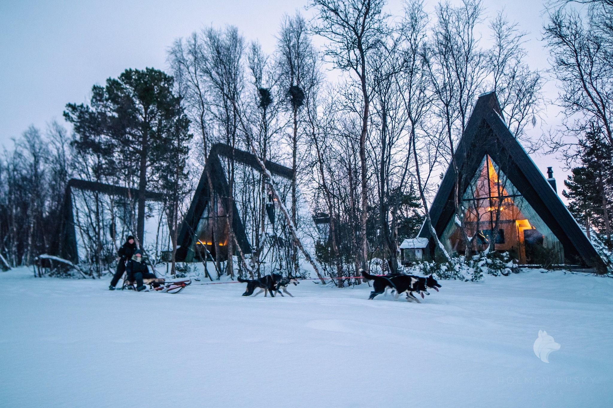 A cabin with huskies running past.