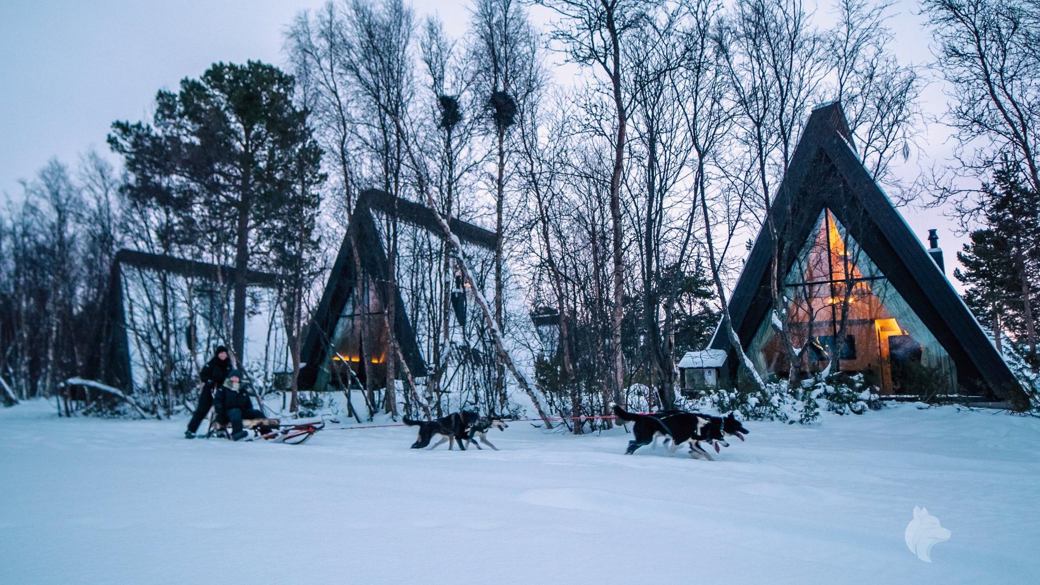 A cabin with huskies running past.