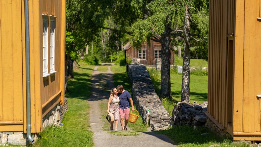 The Gjøvik region and Ringsaker | Activities, hotels, food and drink