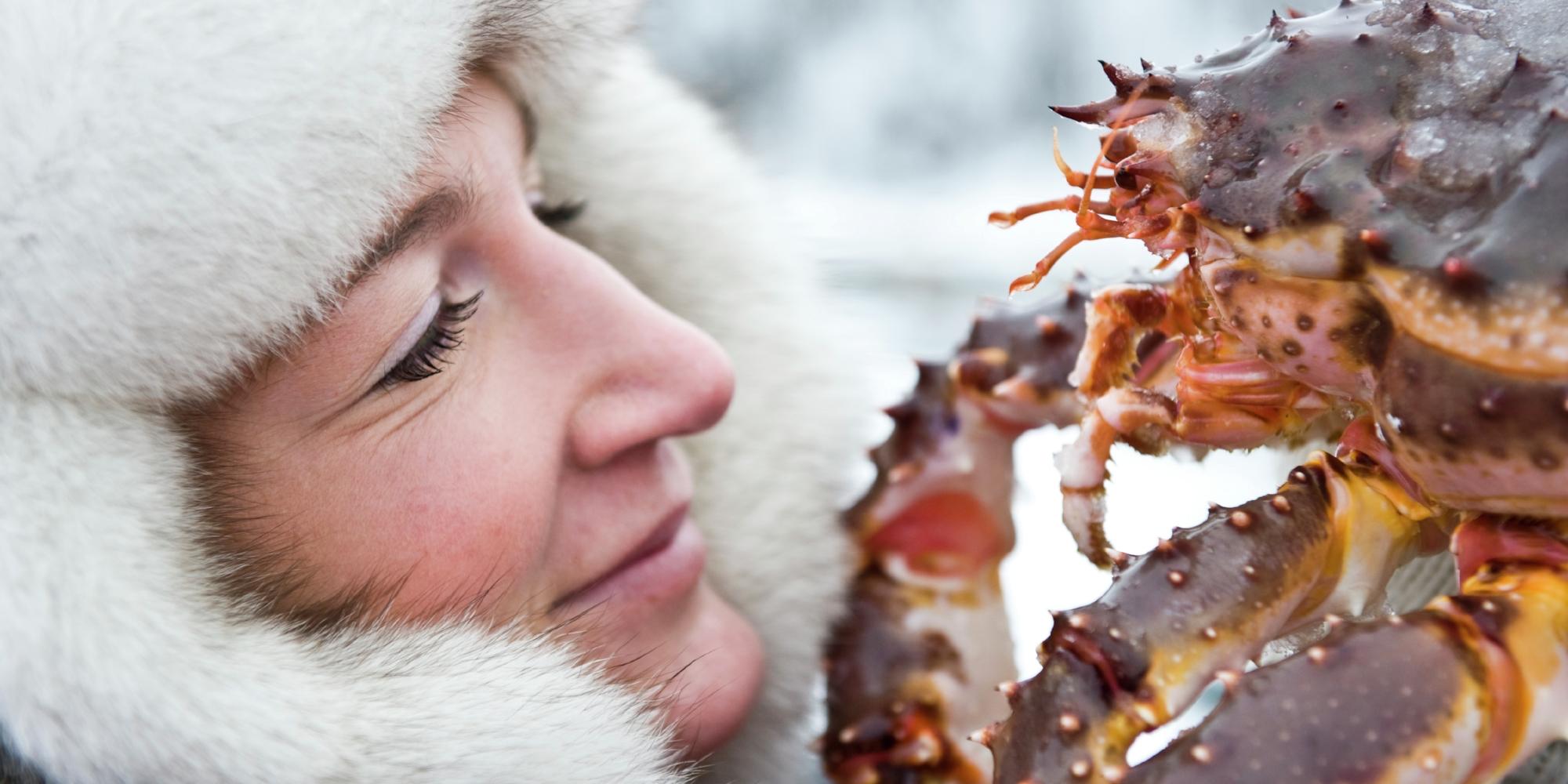 King crab Kirkenes
