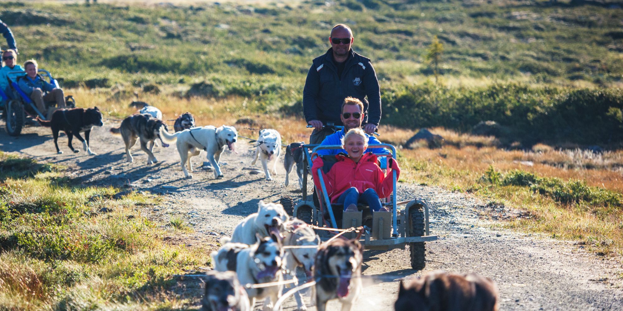 Dog sledding