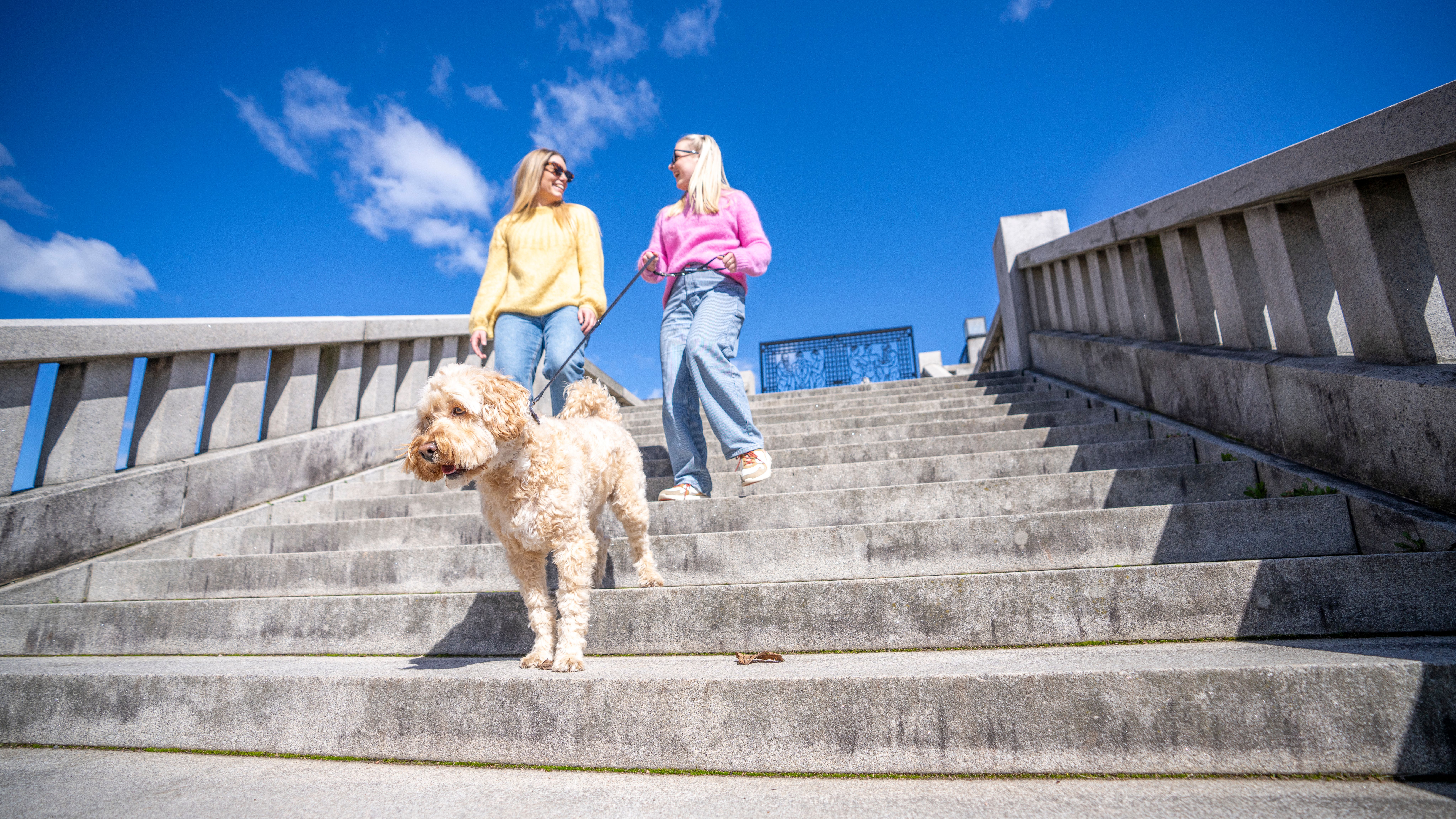 Venenr på tur med hund i Vigelandsparken på Frogner i Oslo