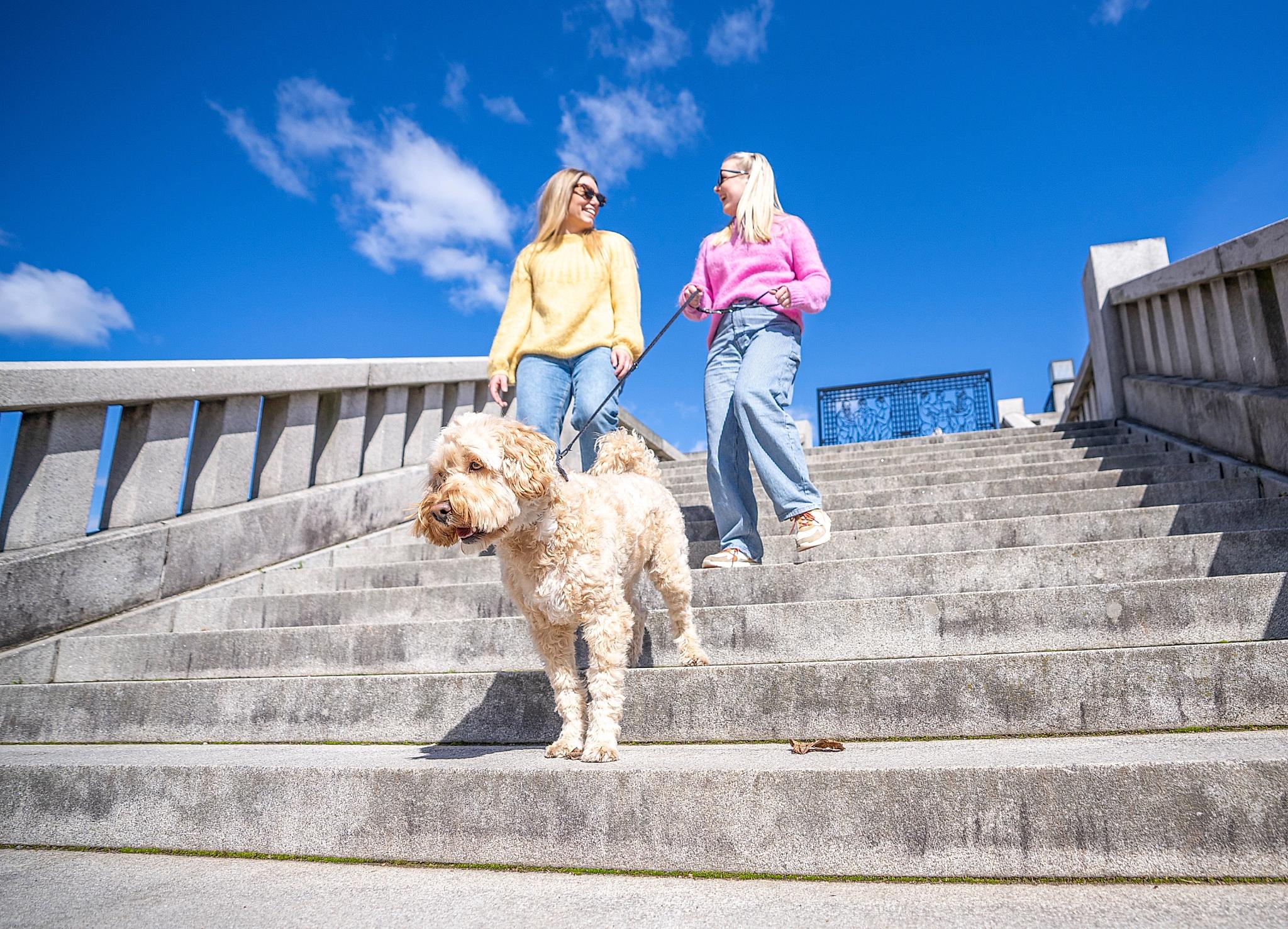 Venenr på tur med hund i Vigelandsparken på Frogner i Oslo
