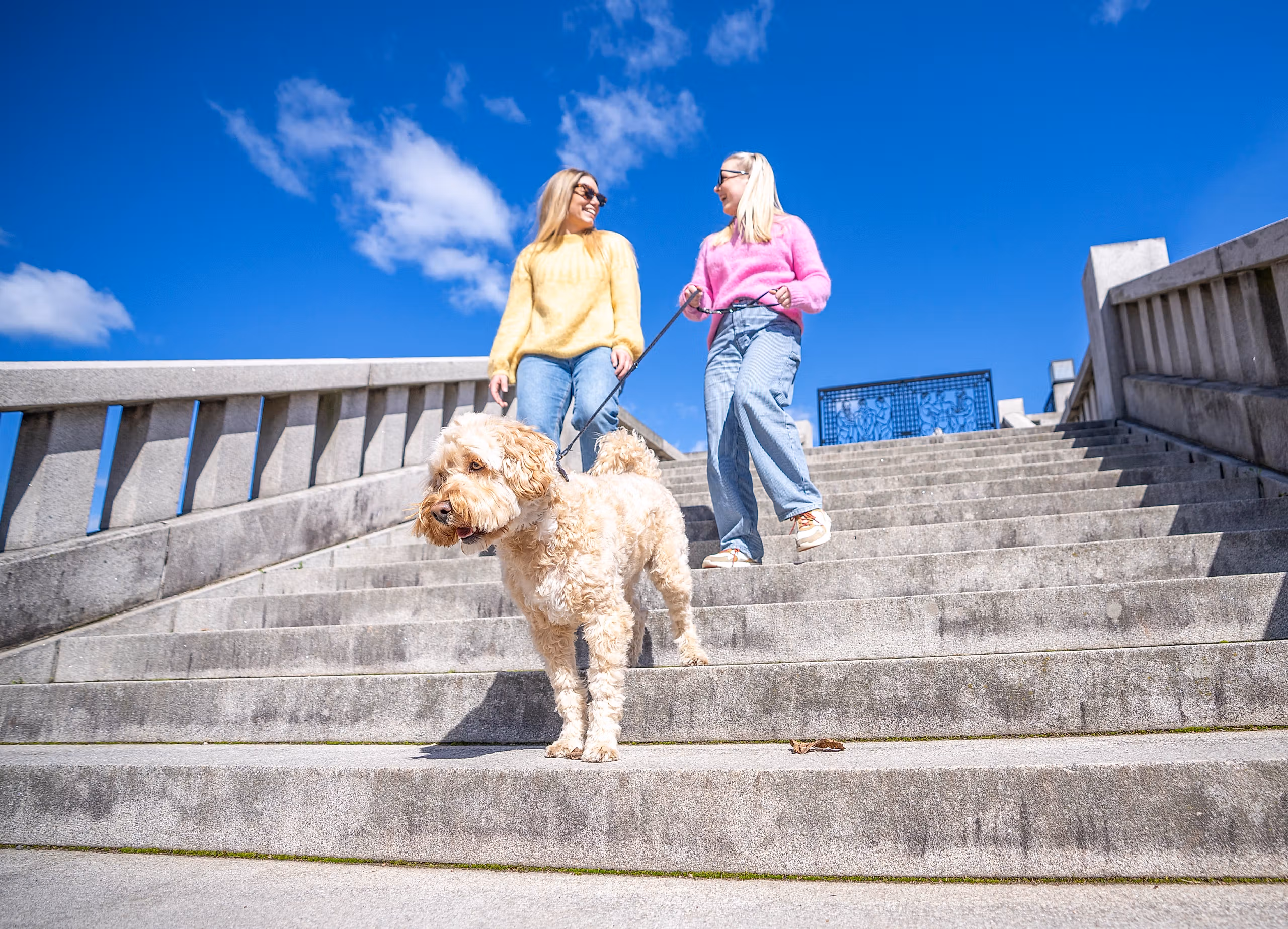 Friends with dog on a walk in Vigelandsparken in Frogner in Oslo, Eastern Norway