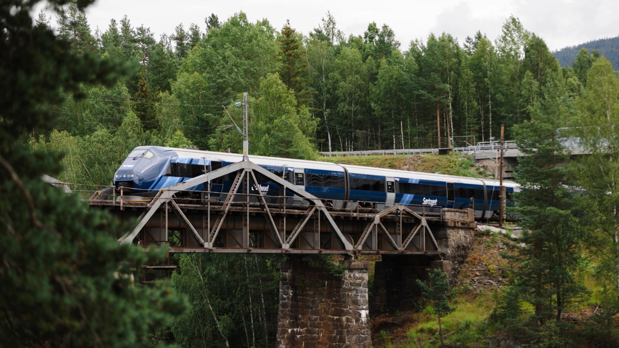 The Sørland Line driver over a bridge in the forest, Norway
