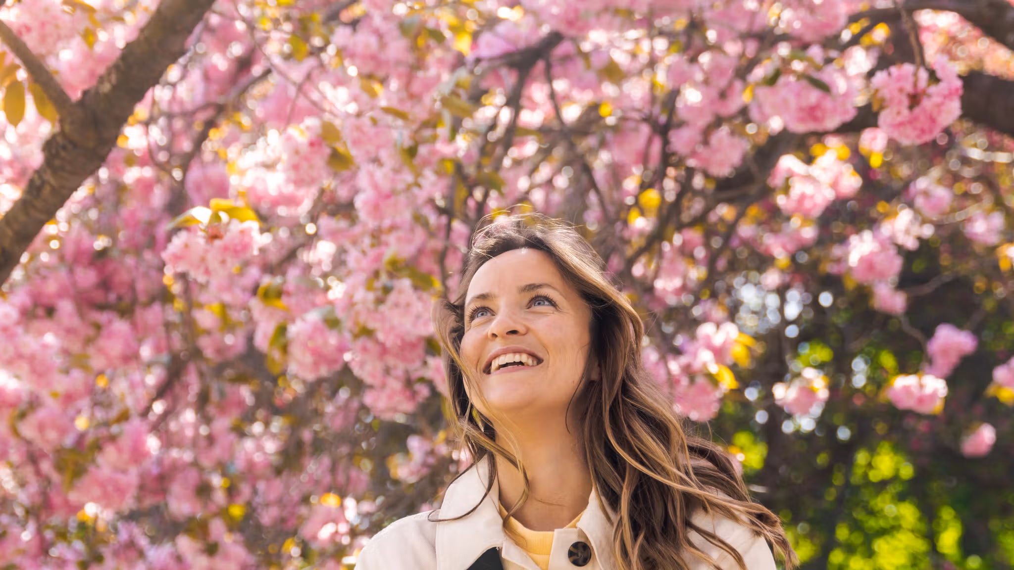 Woman under a cherry tree in Oslo, Eastern Norway
