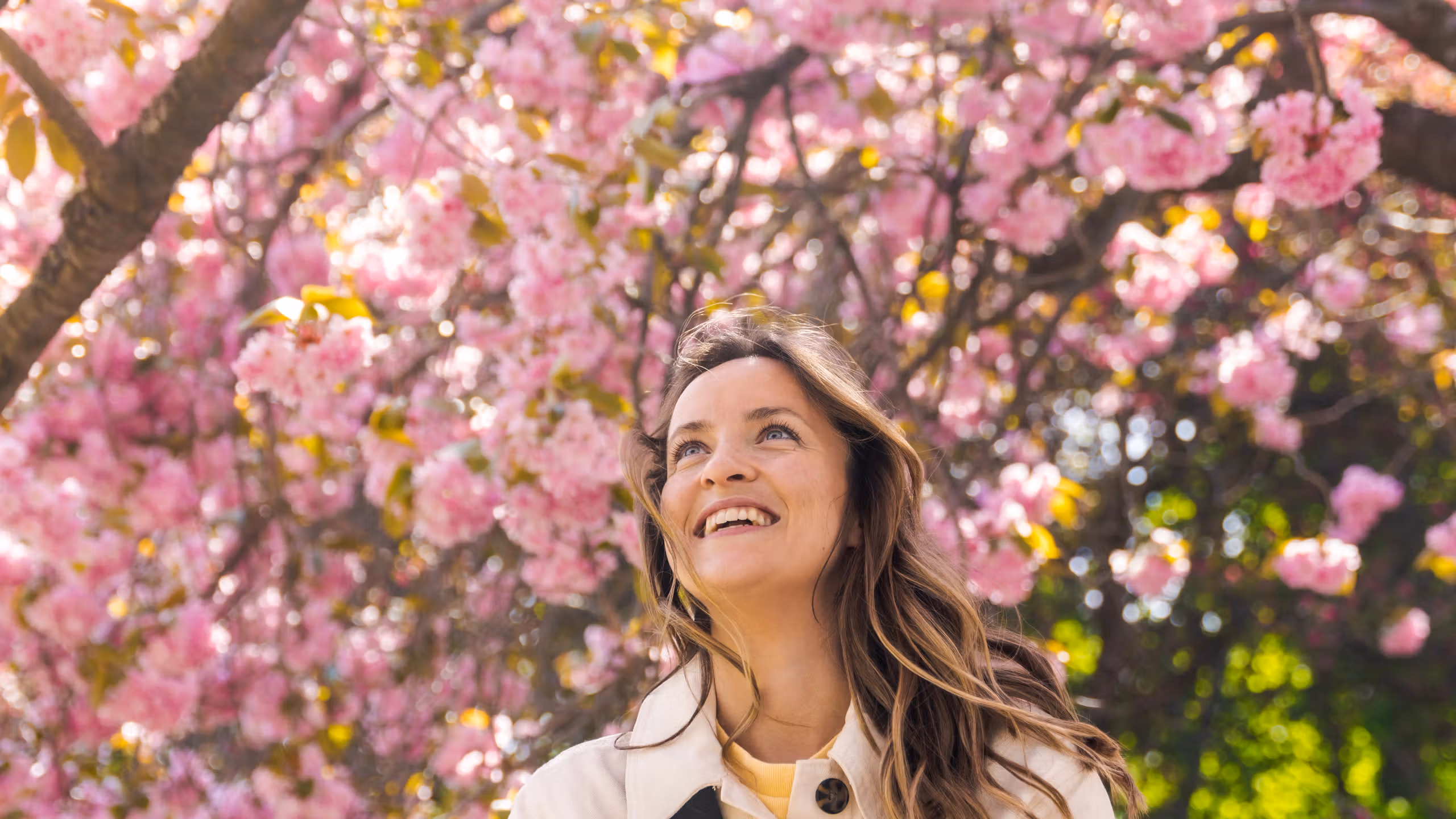 Woman under a cherry tree in Oslo, Eastern Norway