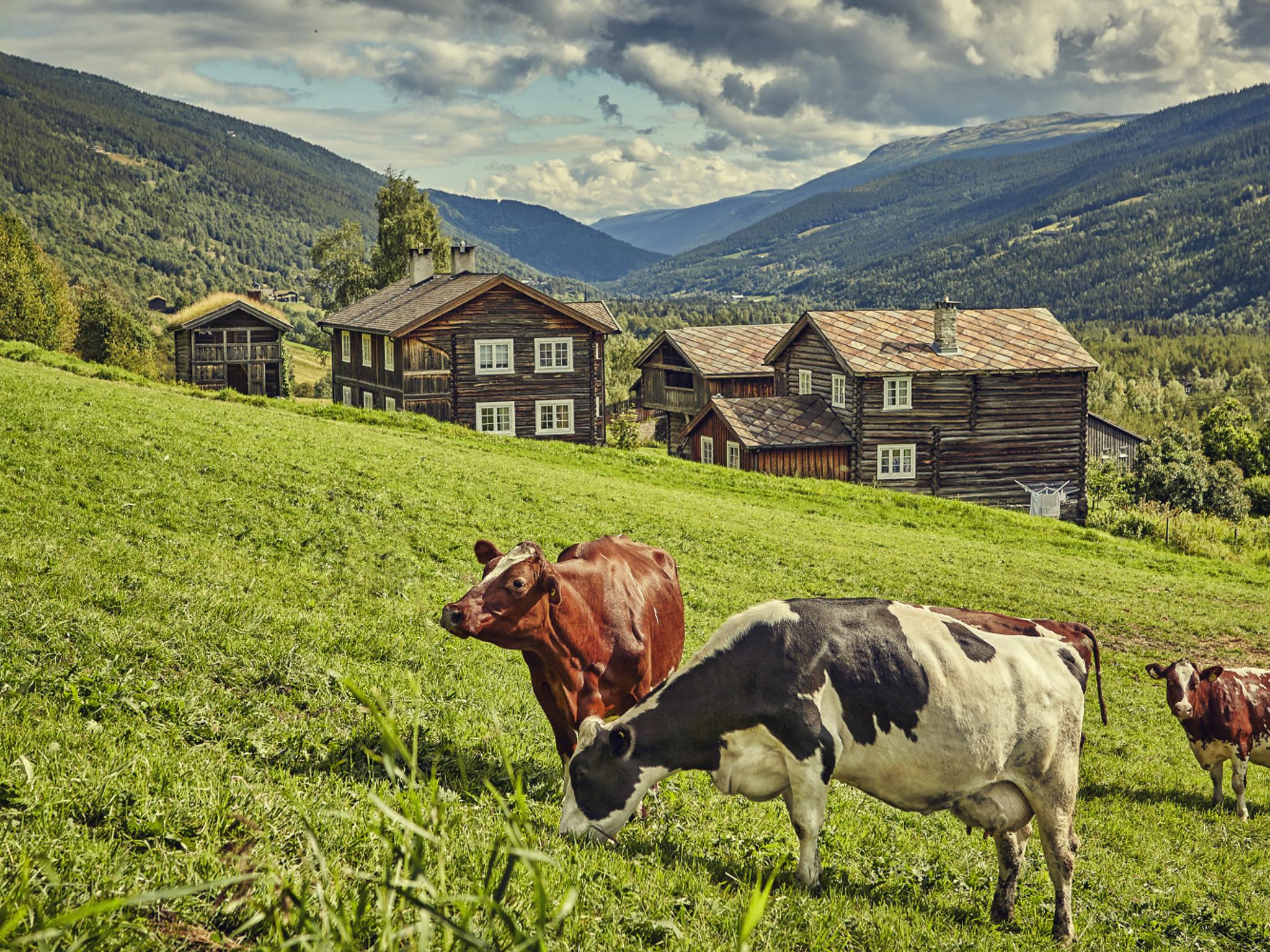 The mountain farm Heidal Ysteri in the Gudbrandsdalen Valley of Eastern Norway