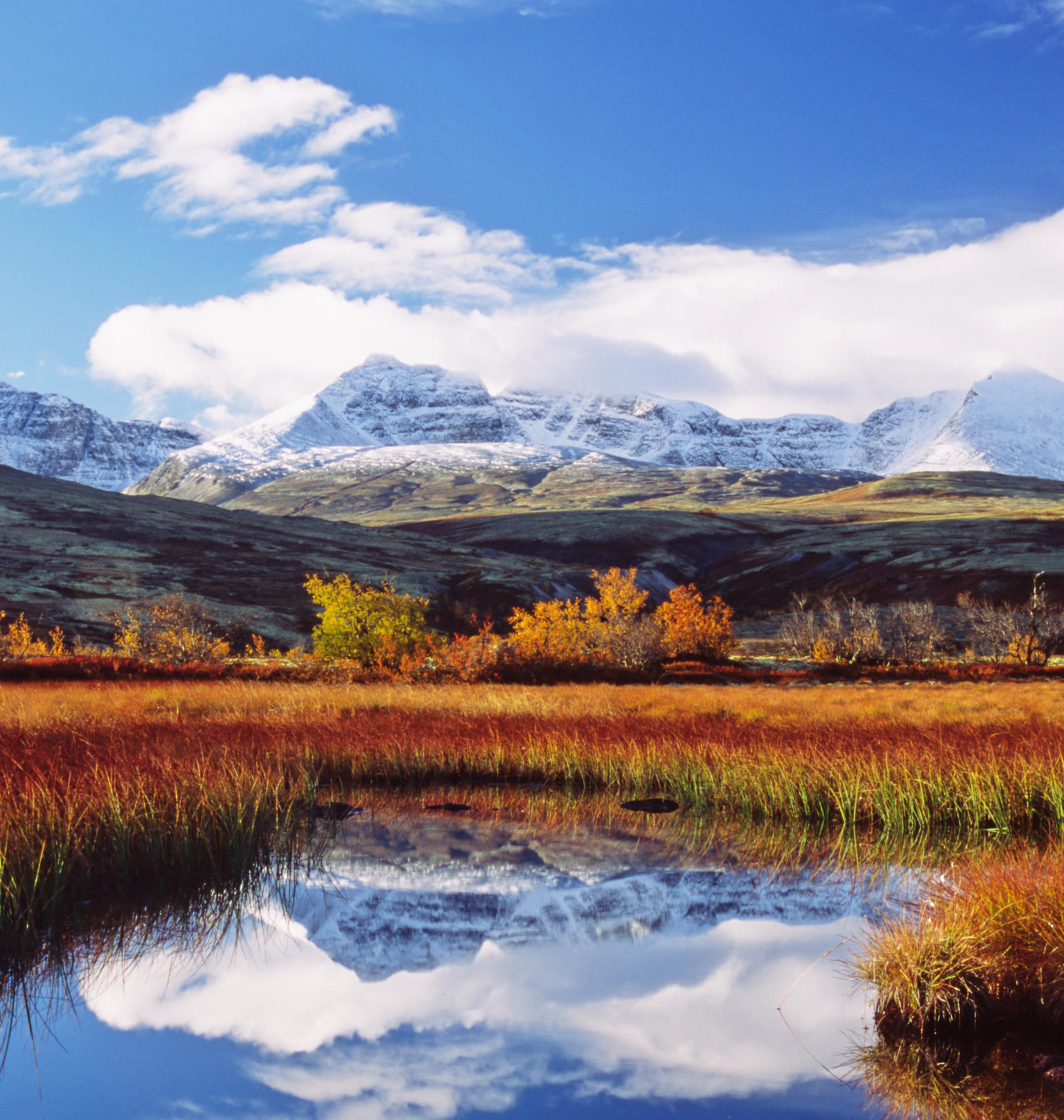 Autumn colours and snow-capped mountains