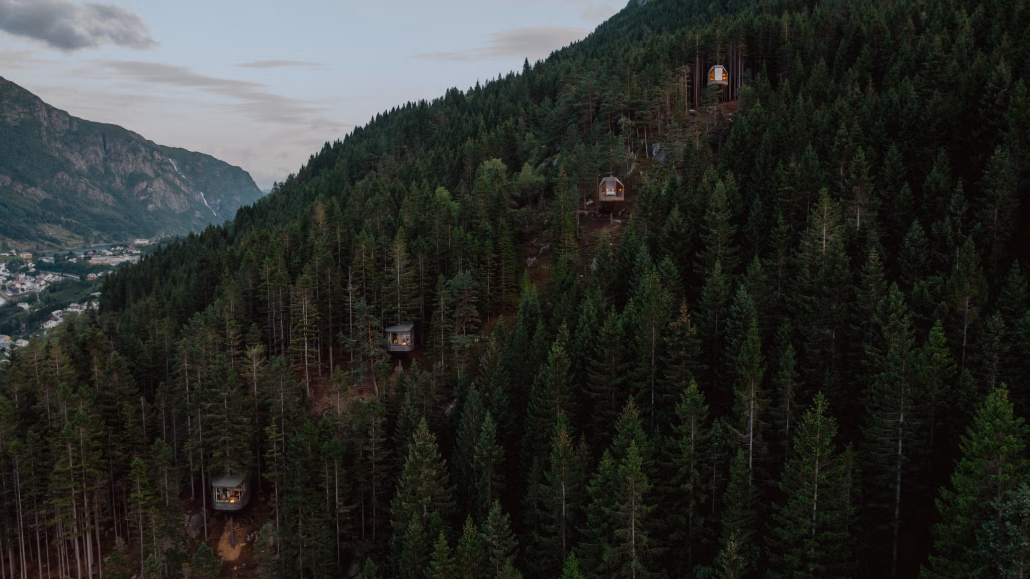 Trehouses along a mountainside