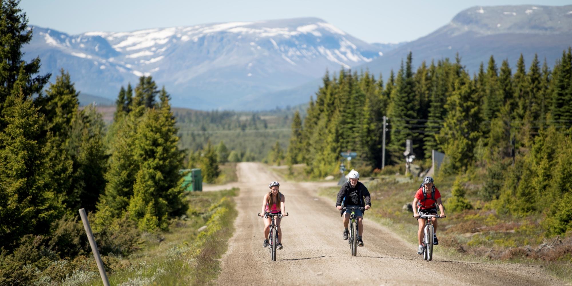 Radtour mit drei Personen auf Mjølkevegen in Valdres, Ostnorwegen
