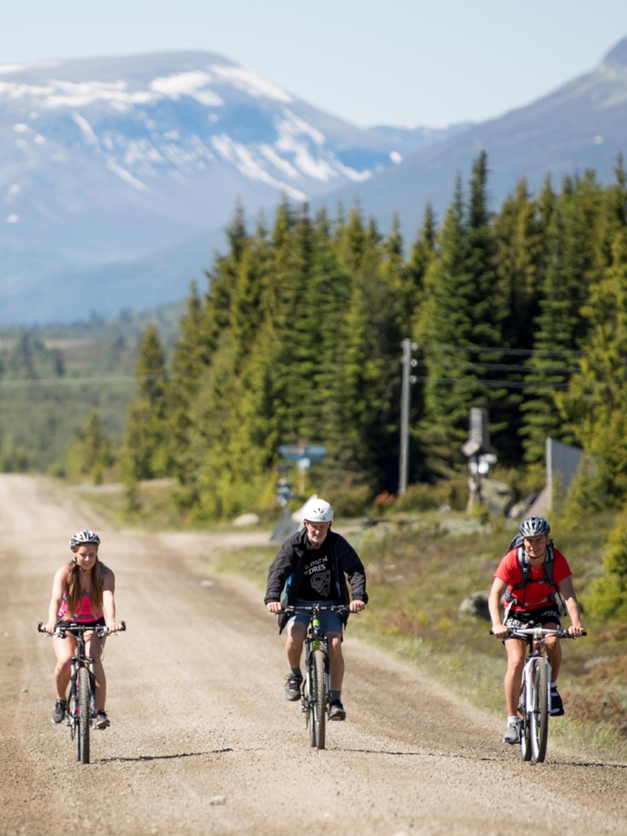 Drie mensen aan het fiets langs de Mjølkevegen in Valdres, Oost-Noorwegen