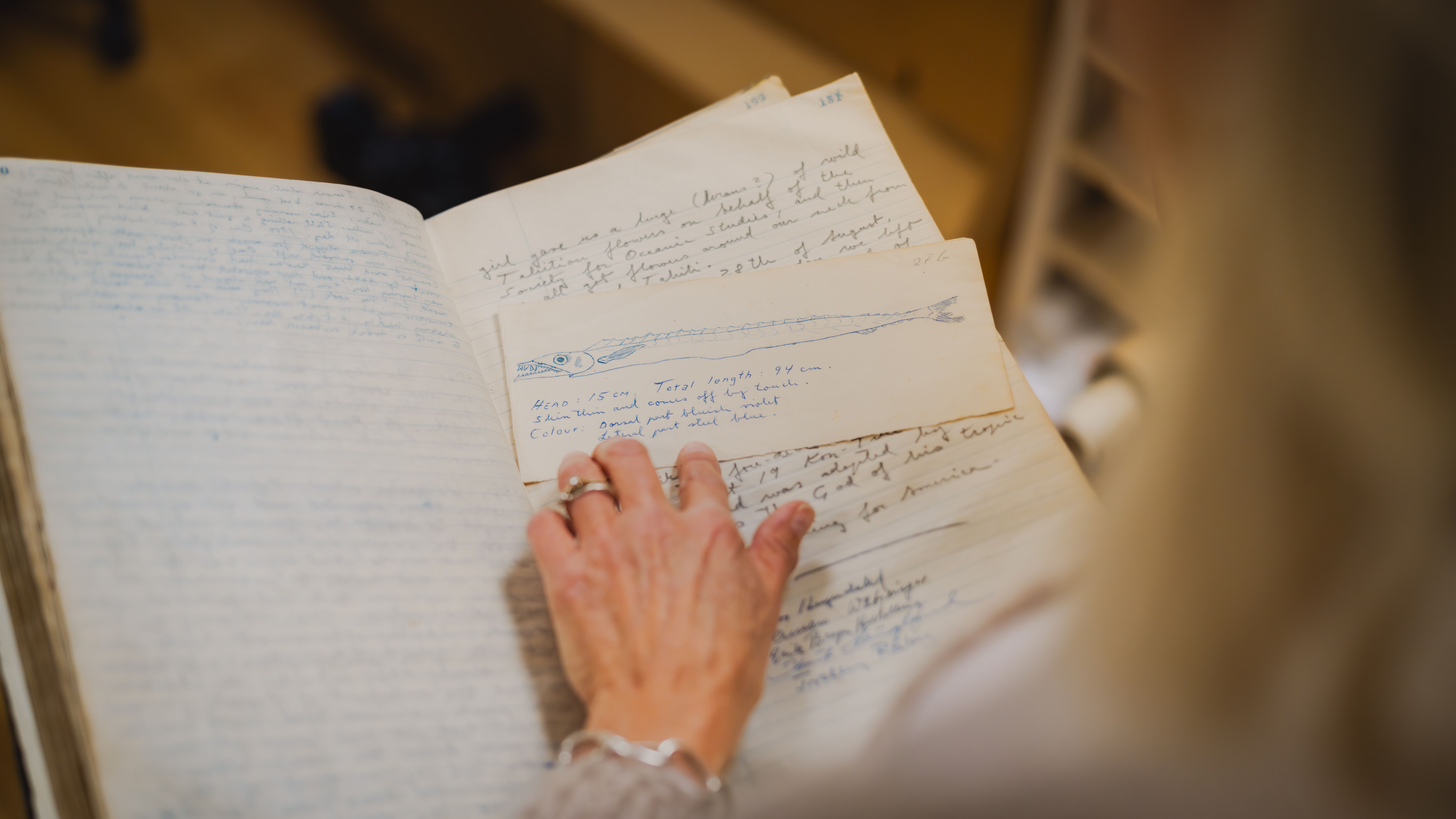 Closeup of Thor Heyerdahl's diary