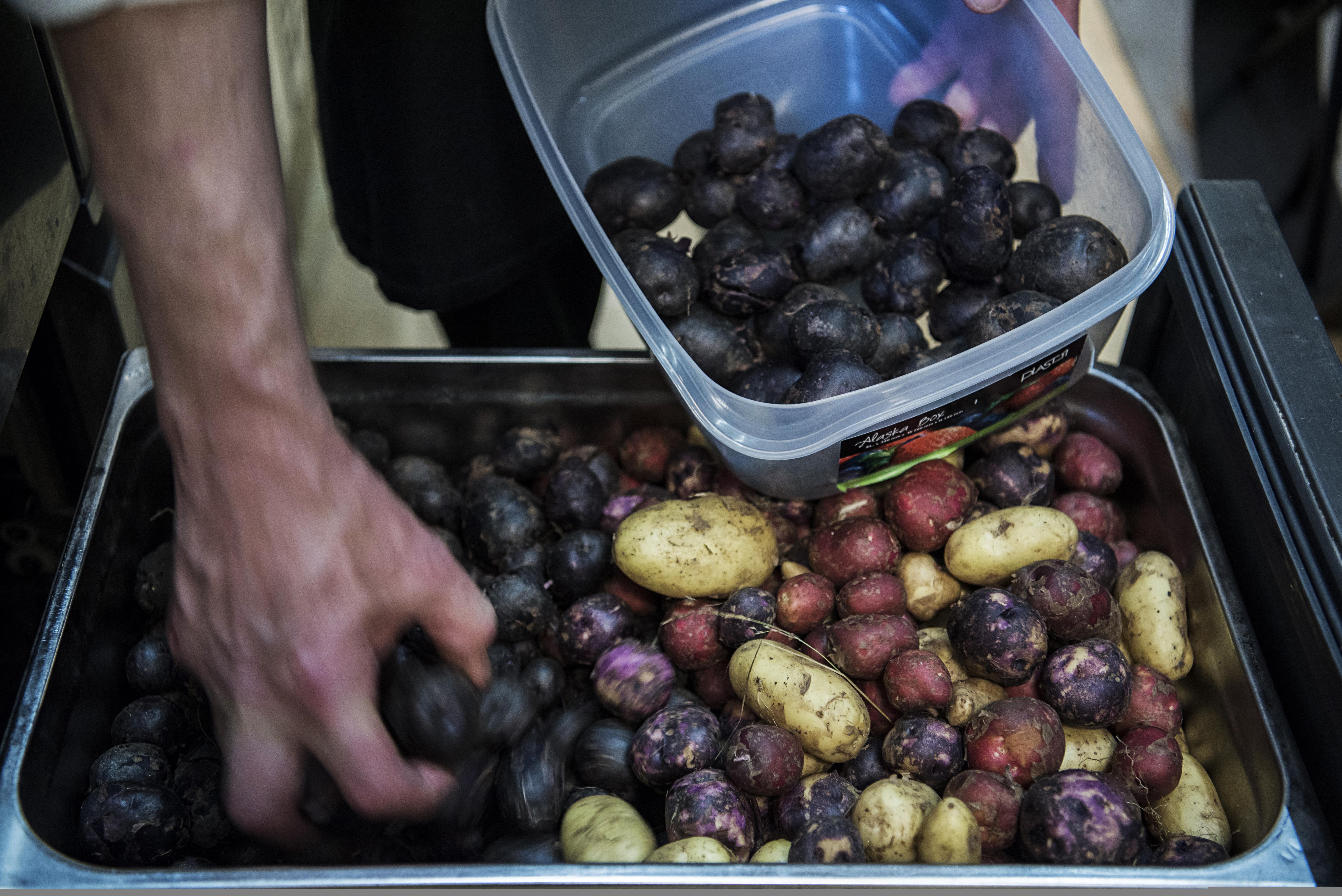 A chef picking potatoes out of a casserole