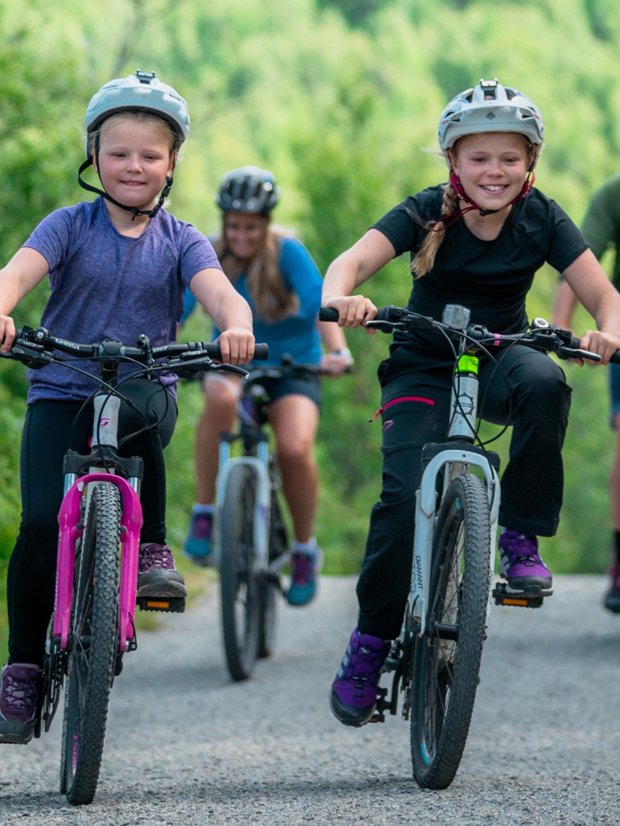 Family of four biking around Ustedalsfjorden in Geilo, Eastern Norway