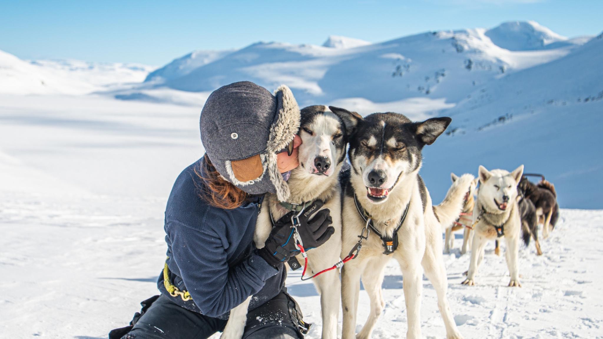 Girl with dog sled in Valdres