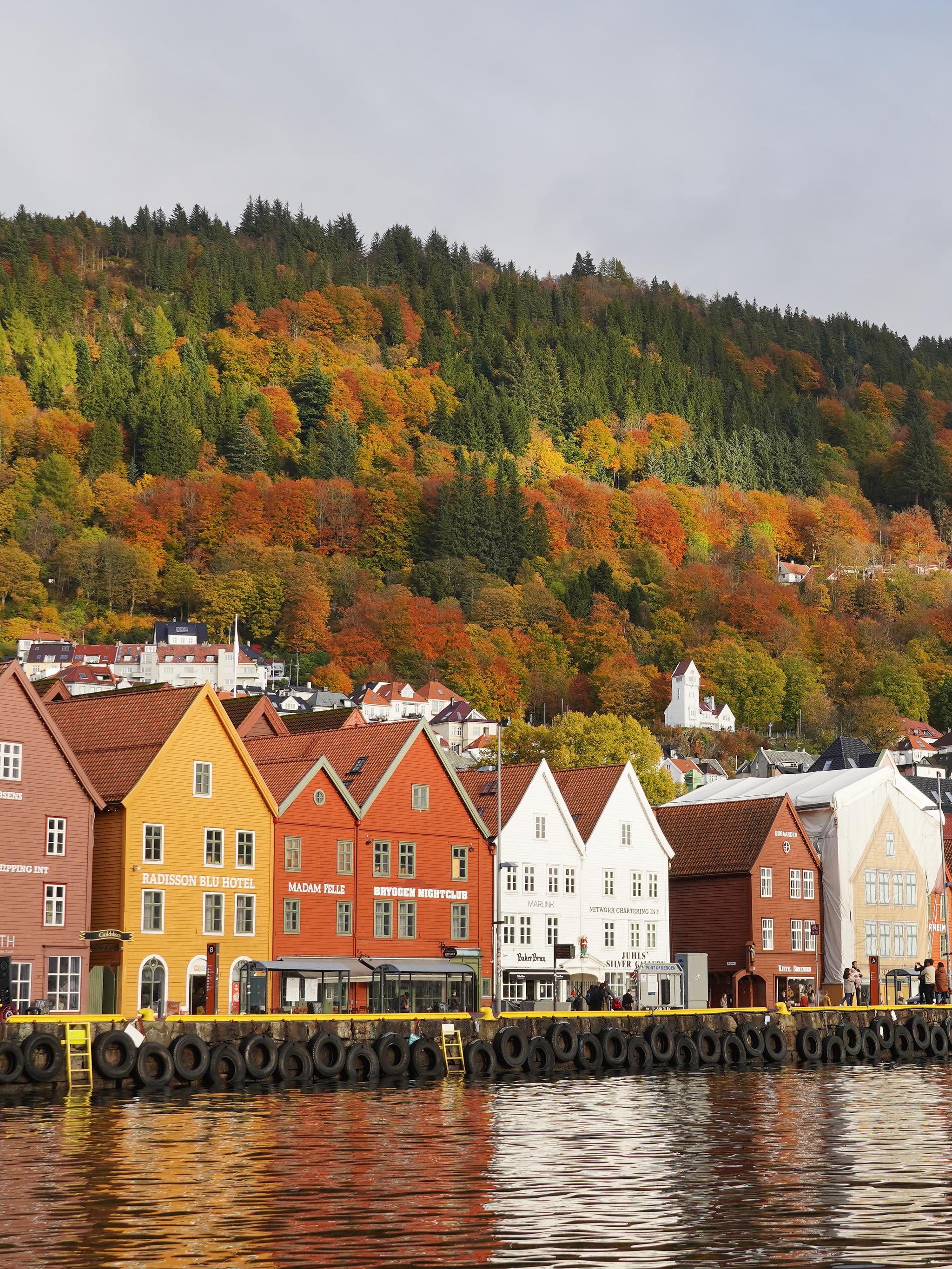 Bryggen i Bergen