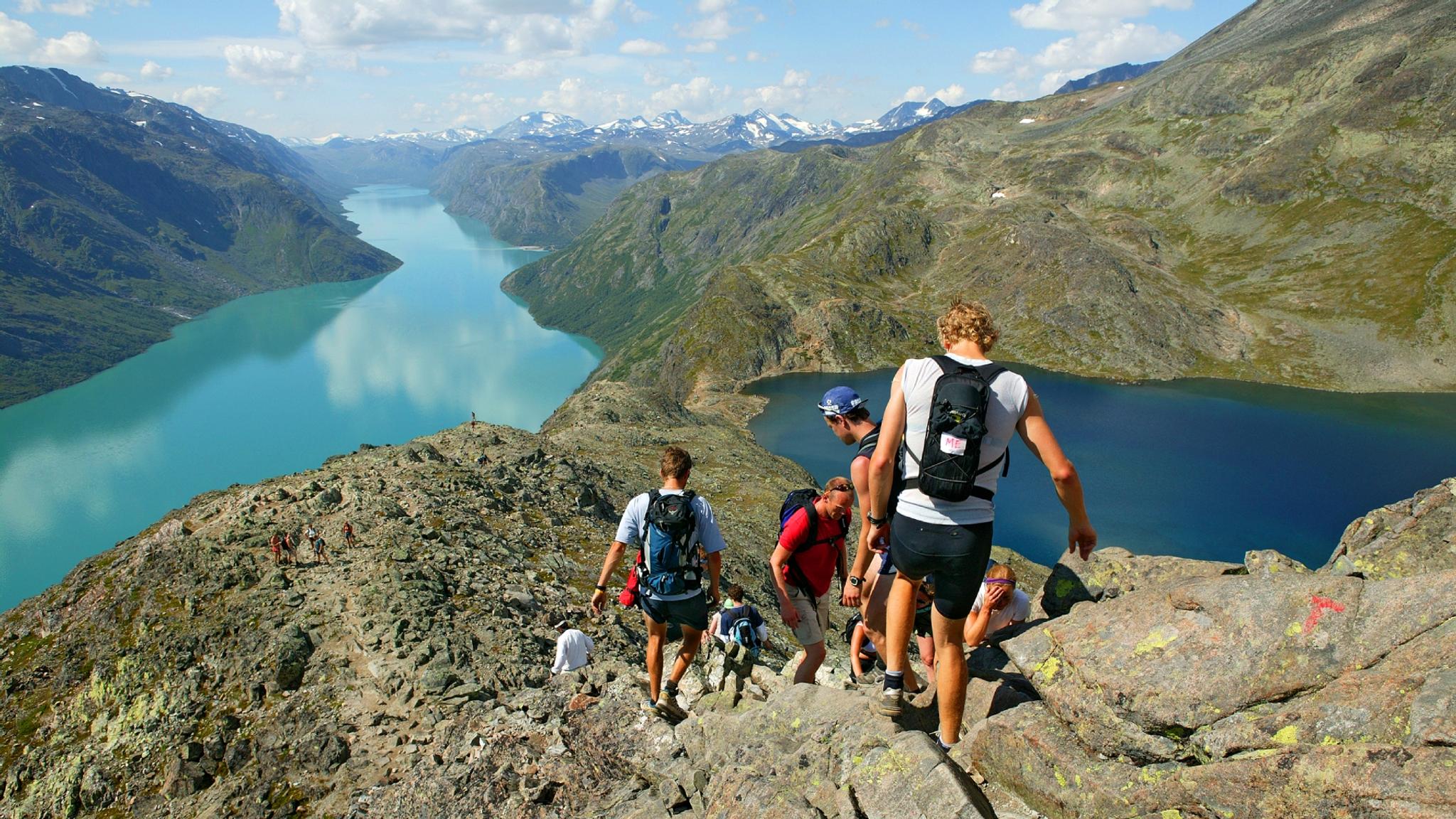 Venner går Besseggen