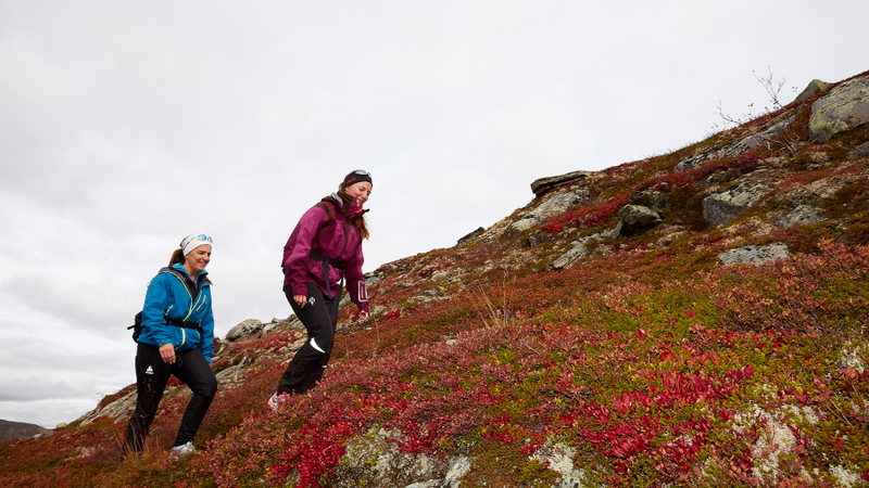 Two hikers in the mountain