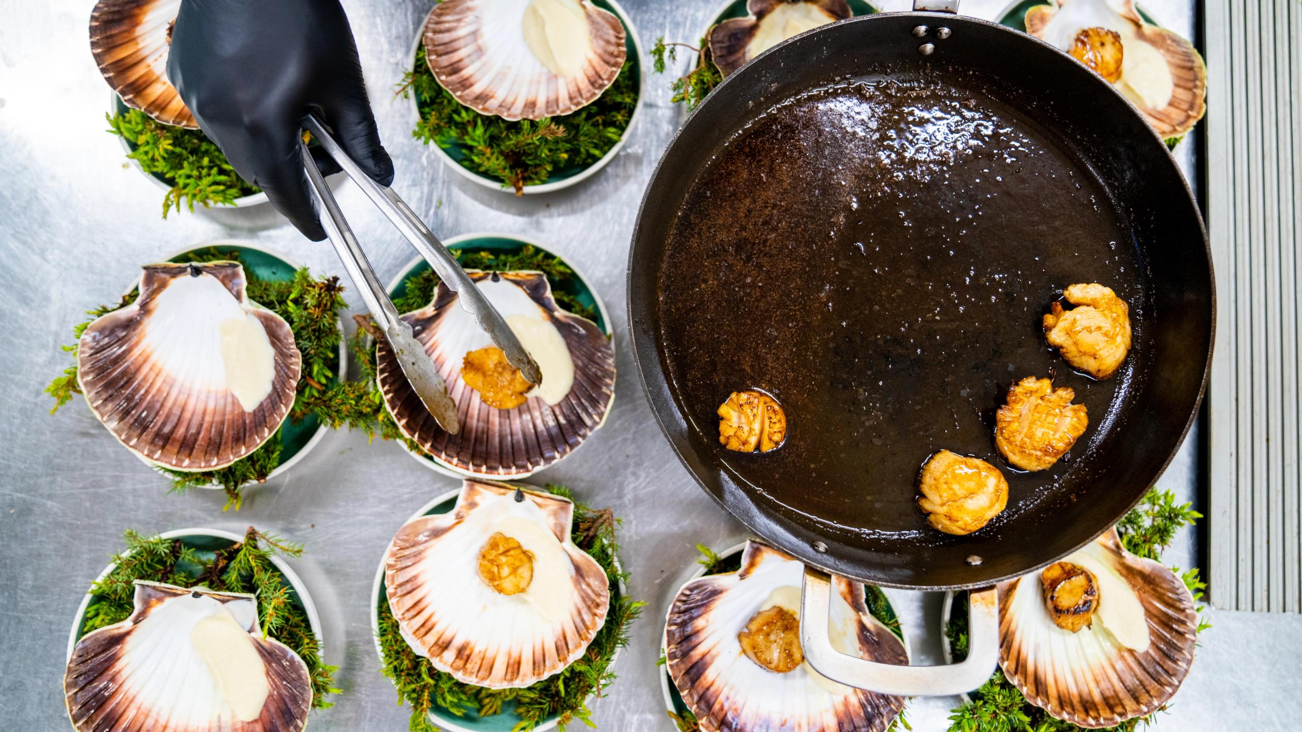 Plating scallops at Ansnes Brygger restaurant on Hitra in Trøndelag