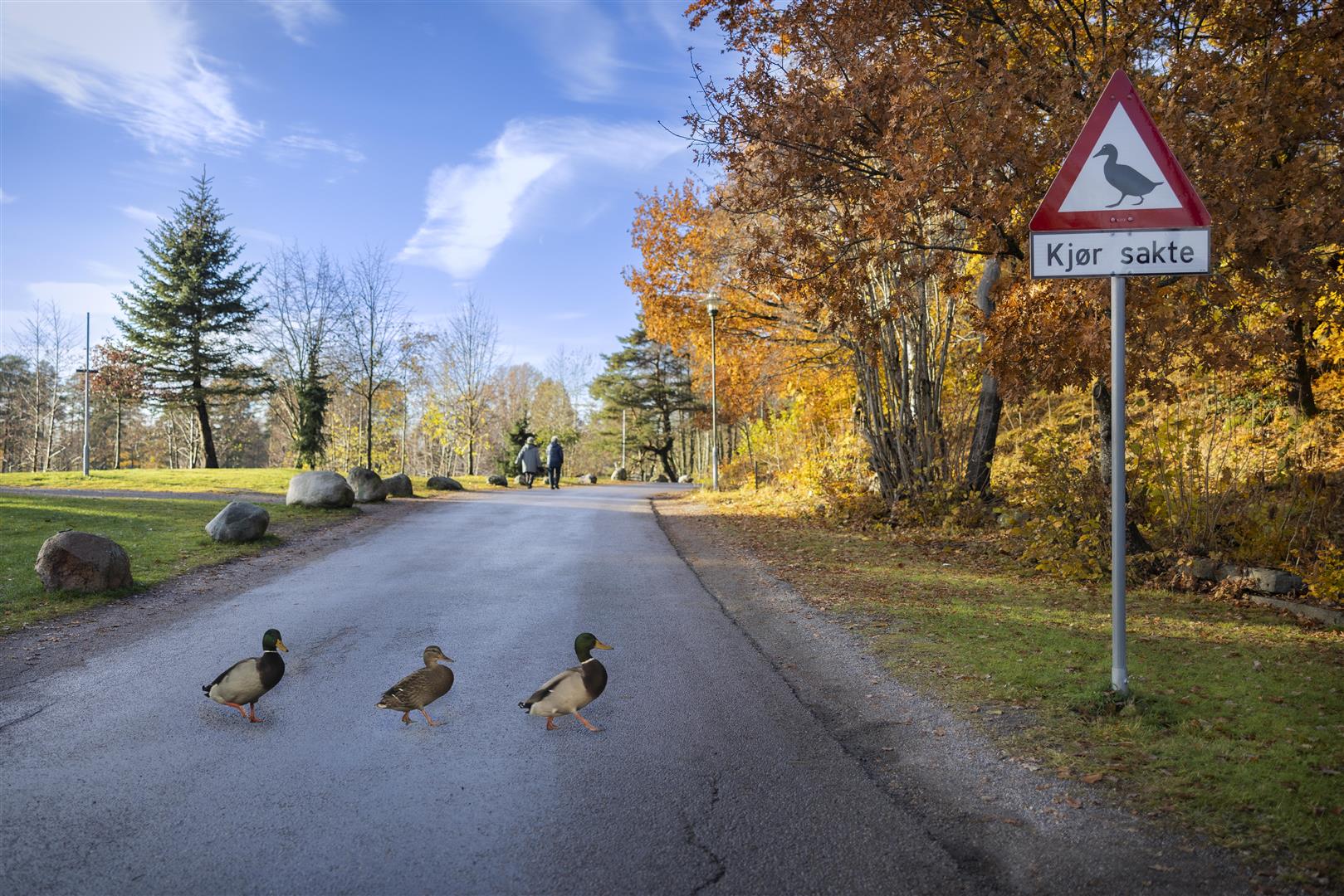 Duck sign