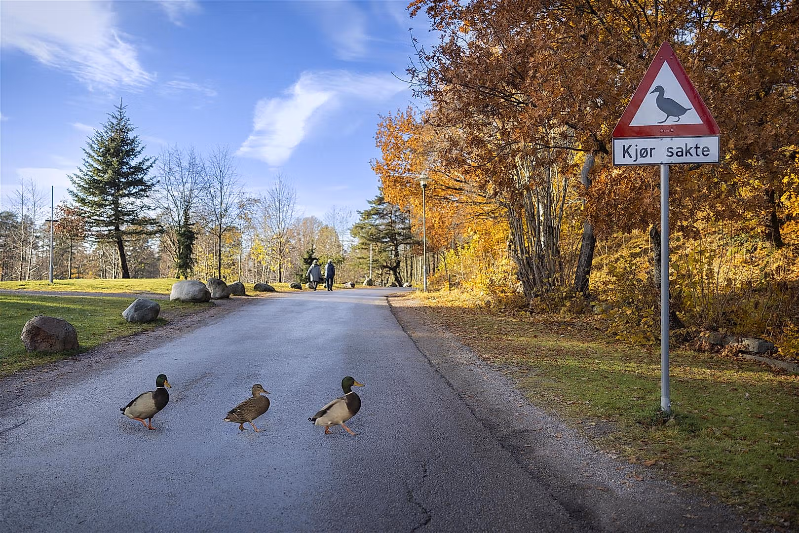 Duck sign