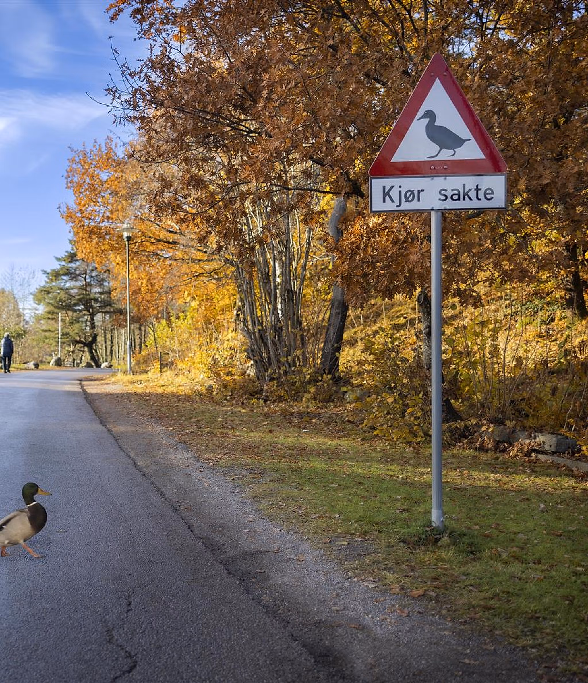 Duck sign