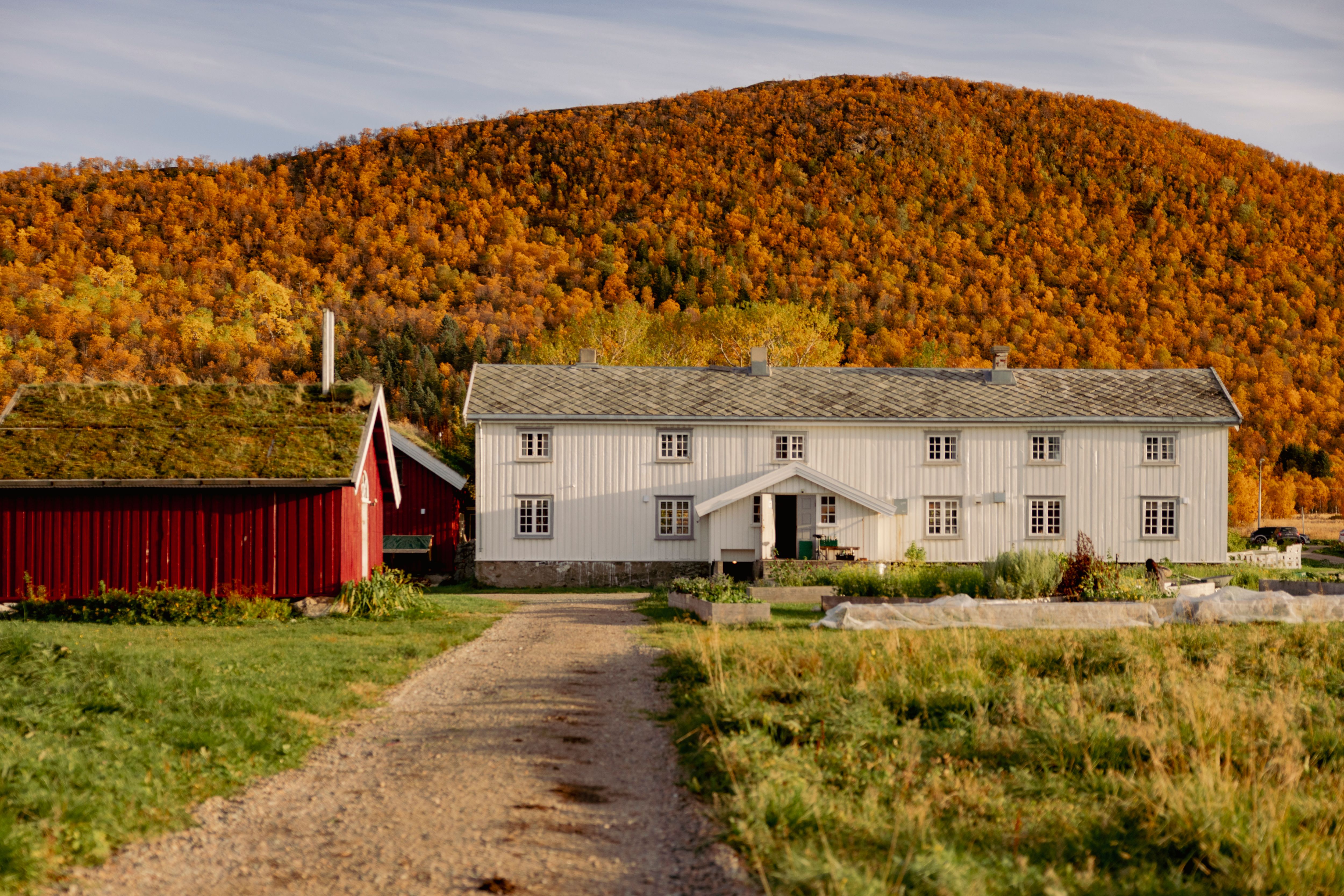 A farm in Northern Norway.