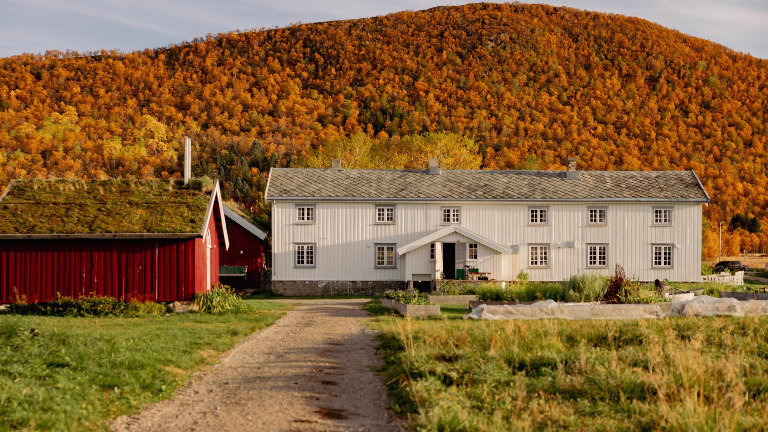 A farm in Northern Norway.