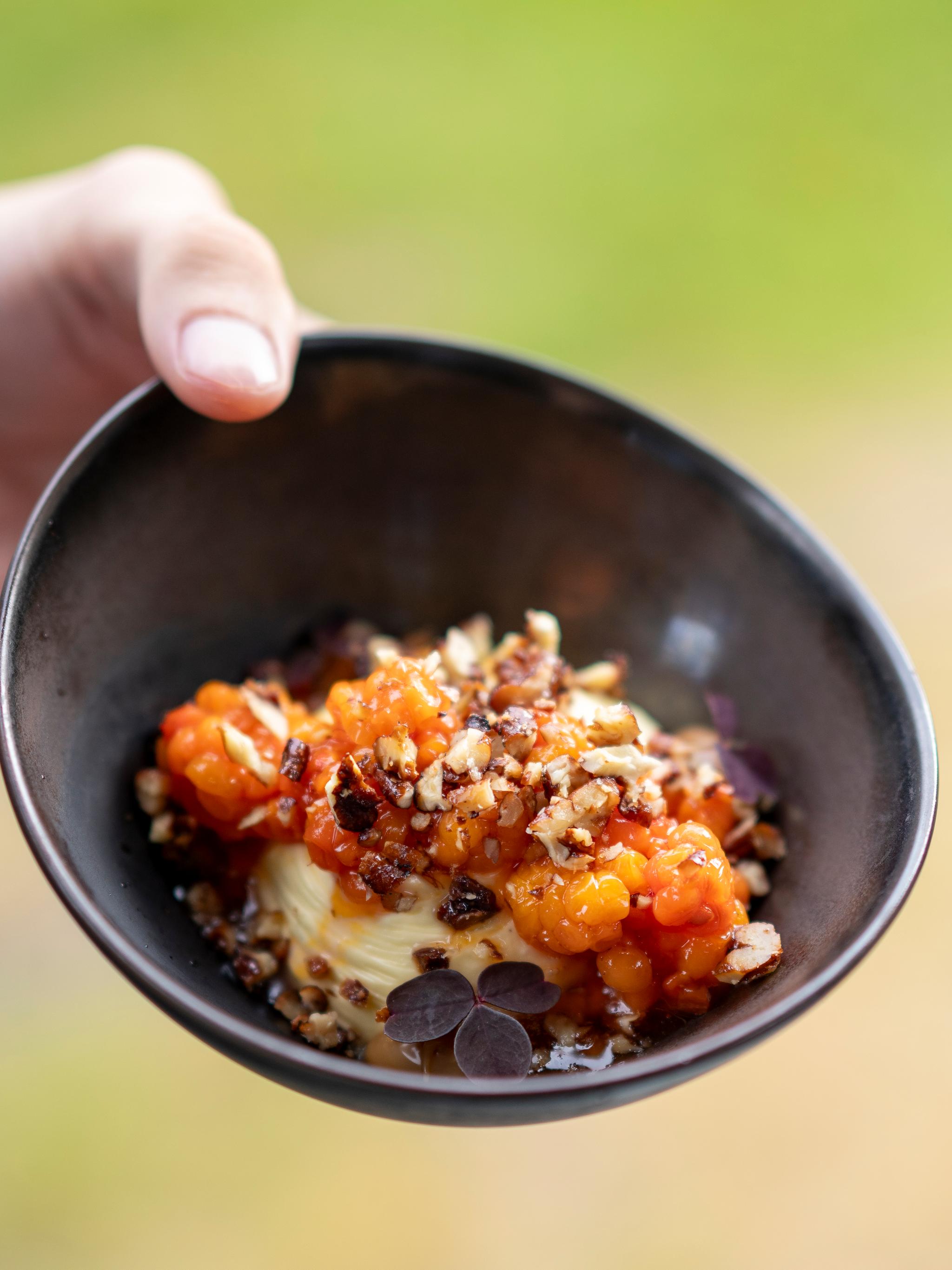 A cloudberry dessert at Sorrisniva in Alta