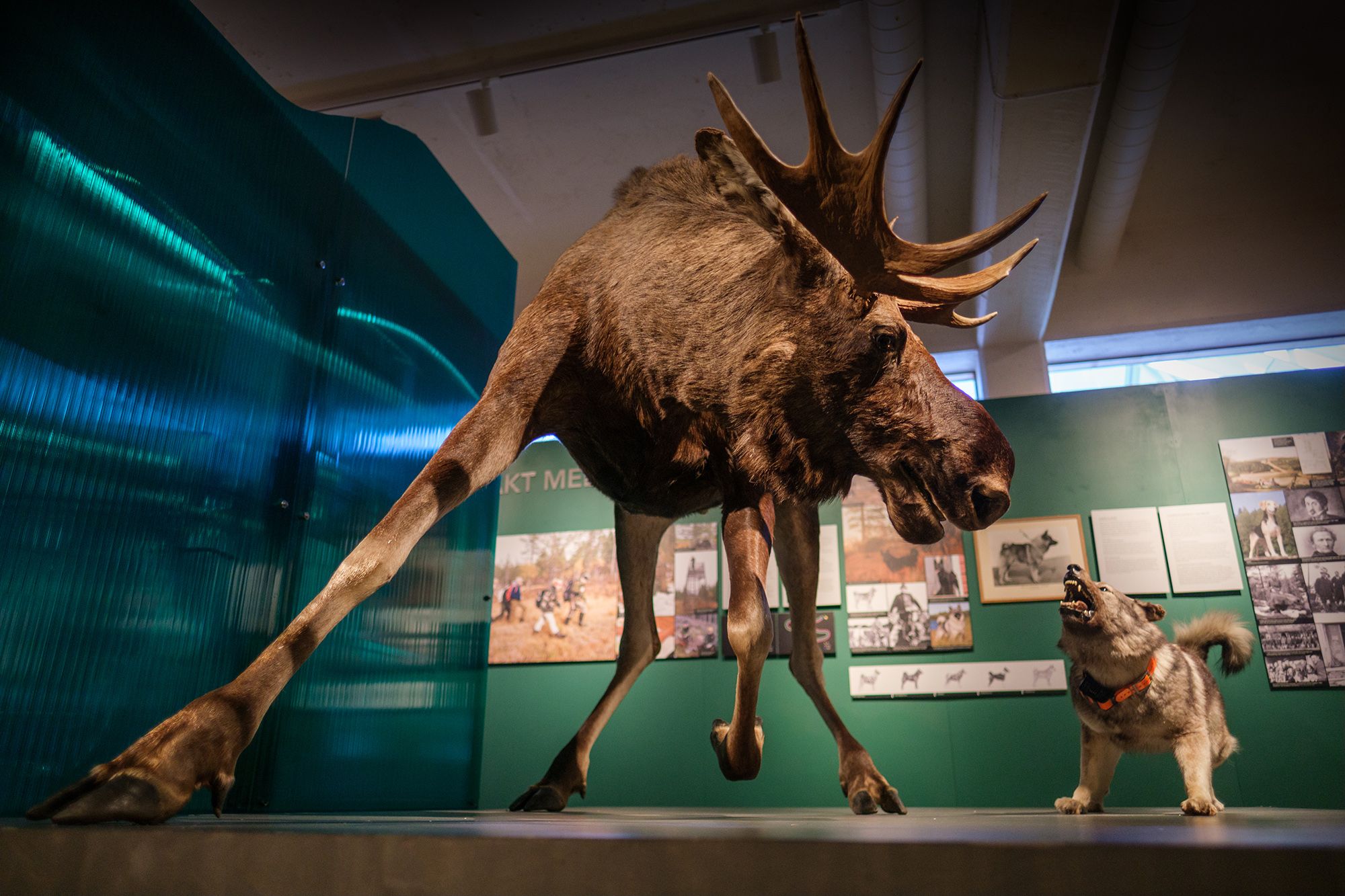 A museum in Elverum, Eastern Norway