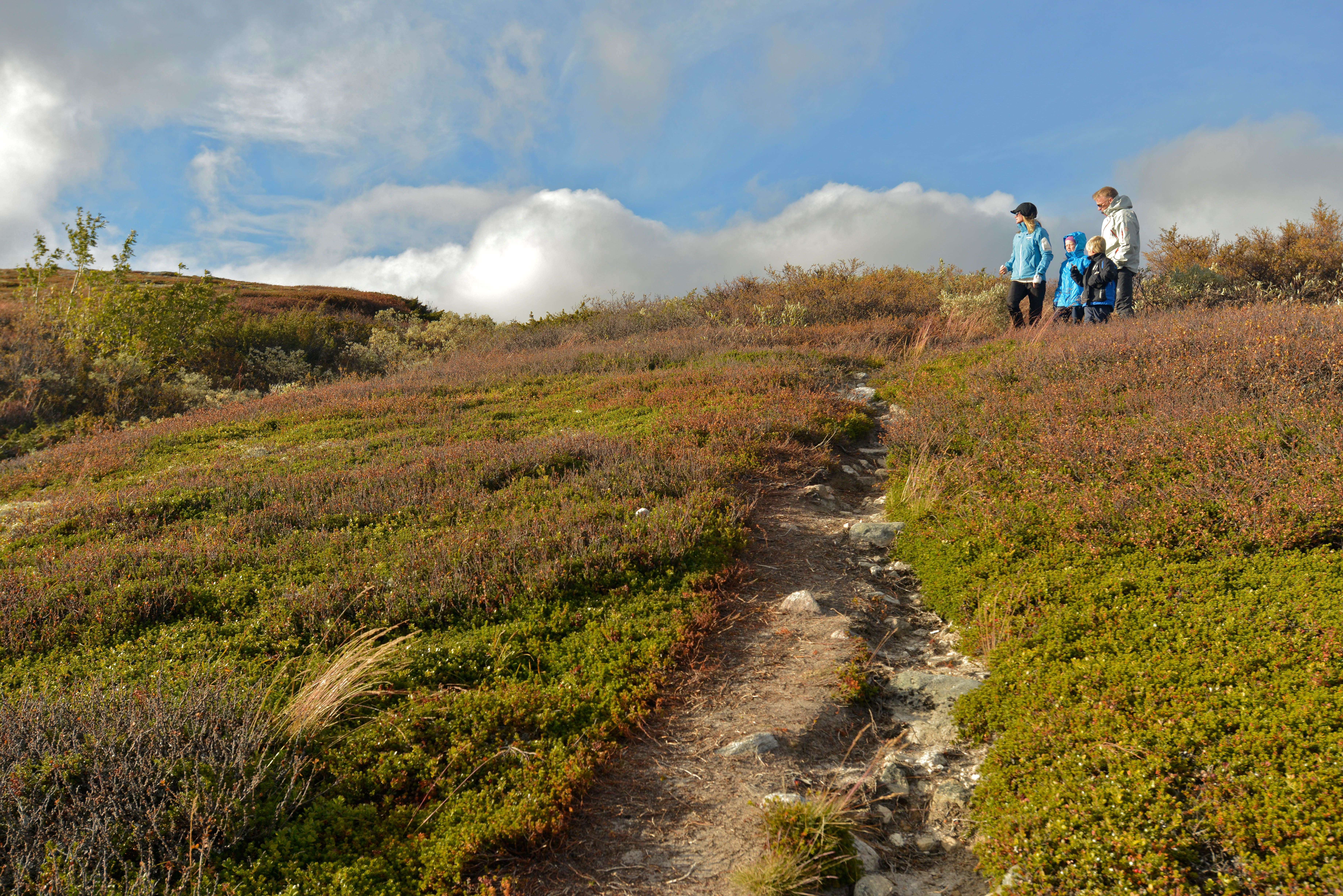 A family of four hiking in Rjukan in Telemark, Eastern Norway
