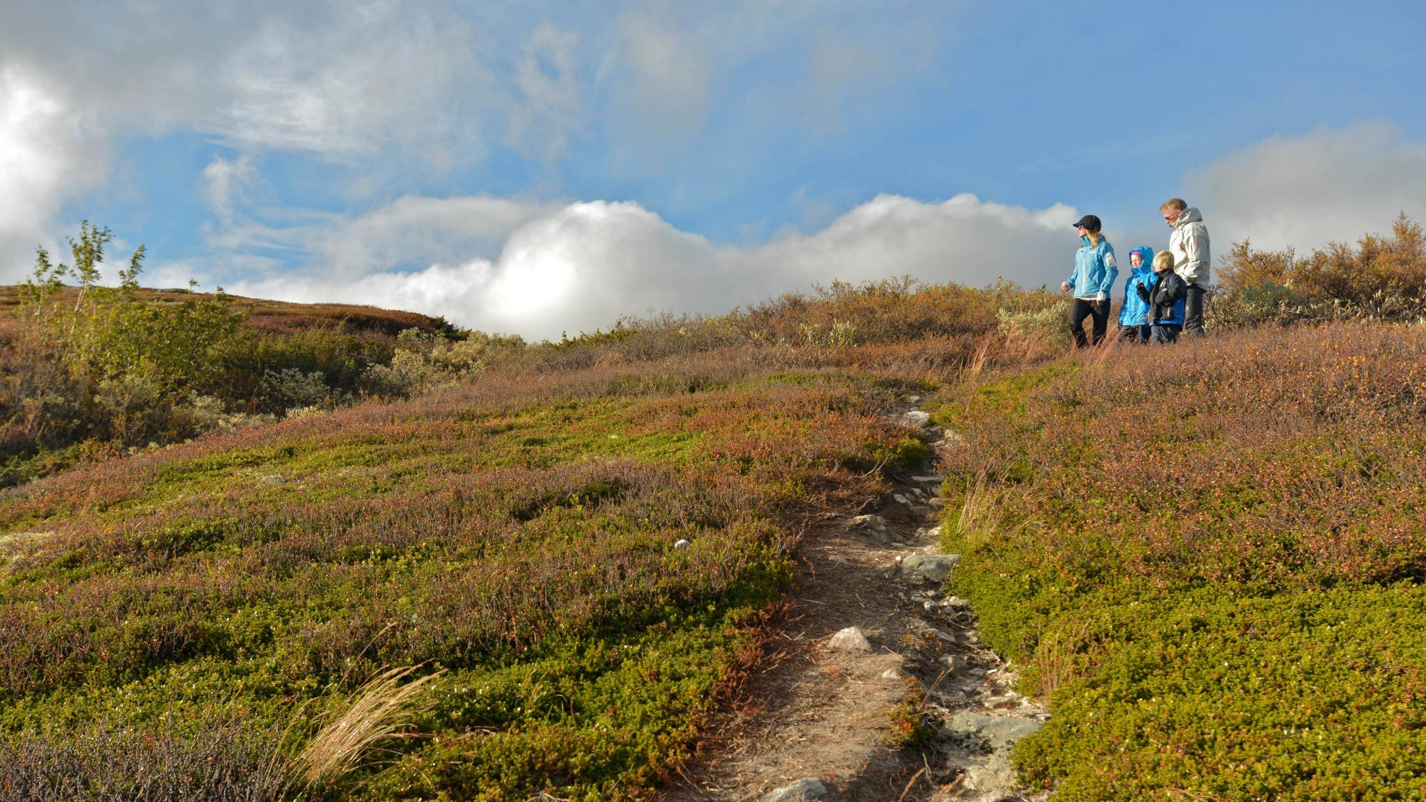 A family of four hiking in Rjukan in Telemark, Eastern Norway