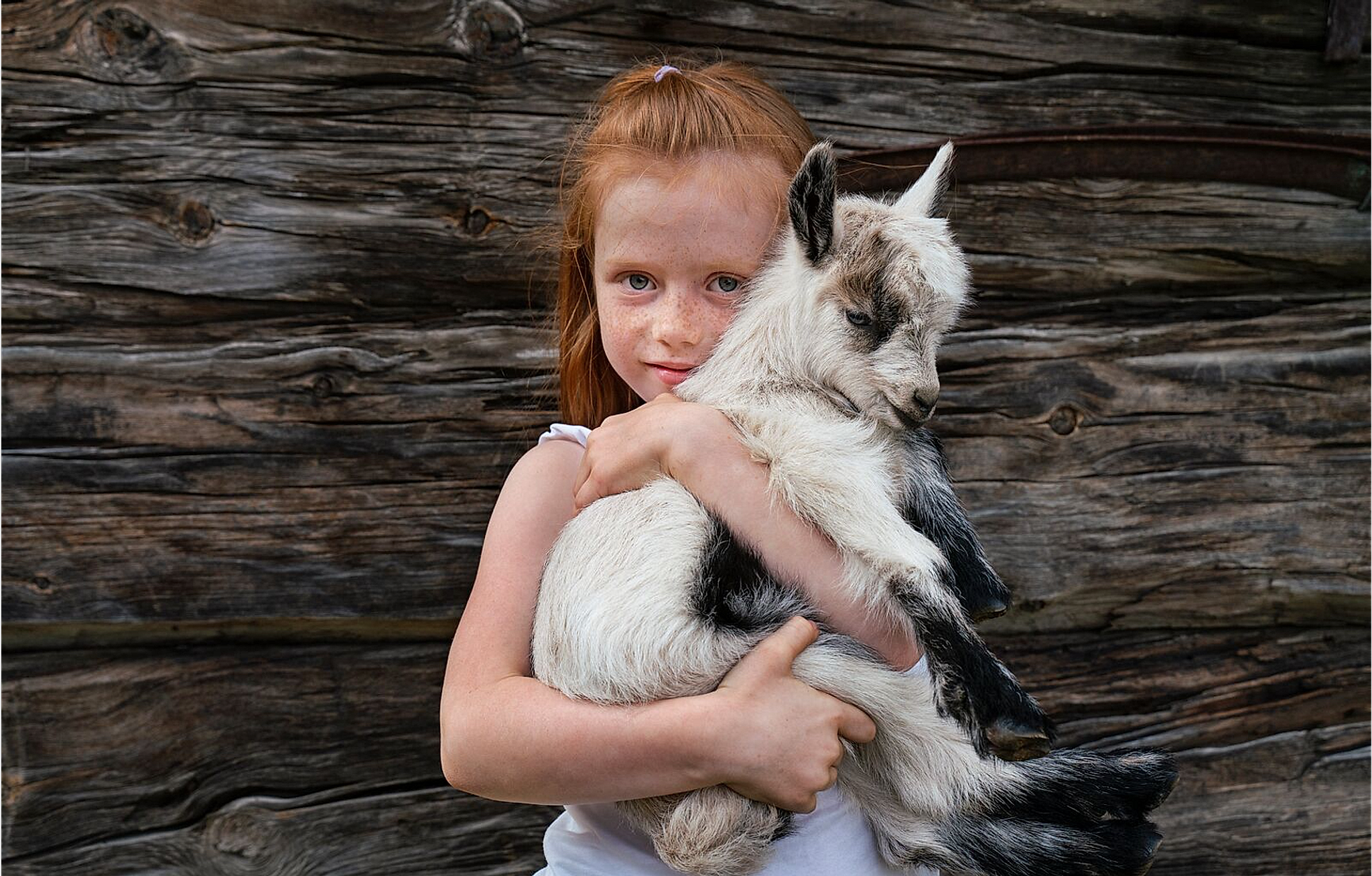 A young girl holding a baby goat