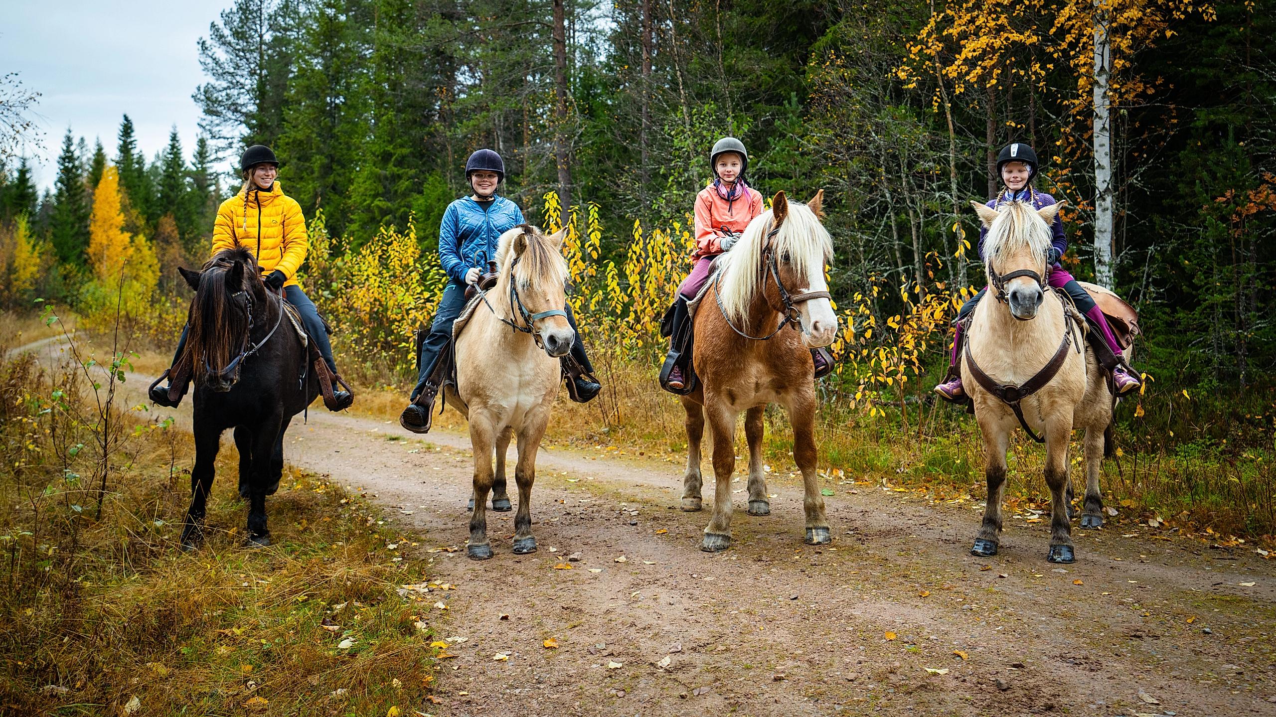 Fire personer på ridetur med Trysil hestesenter.